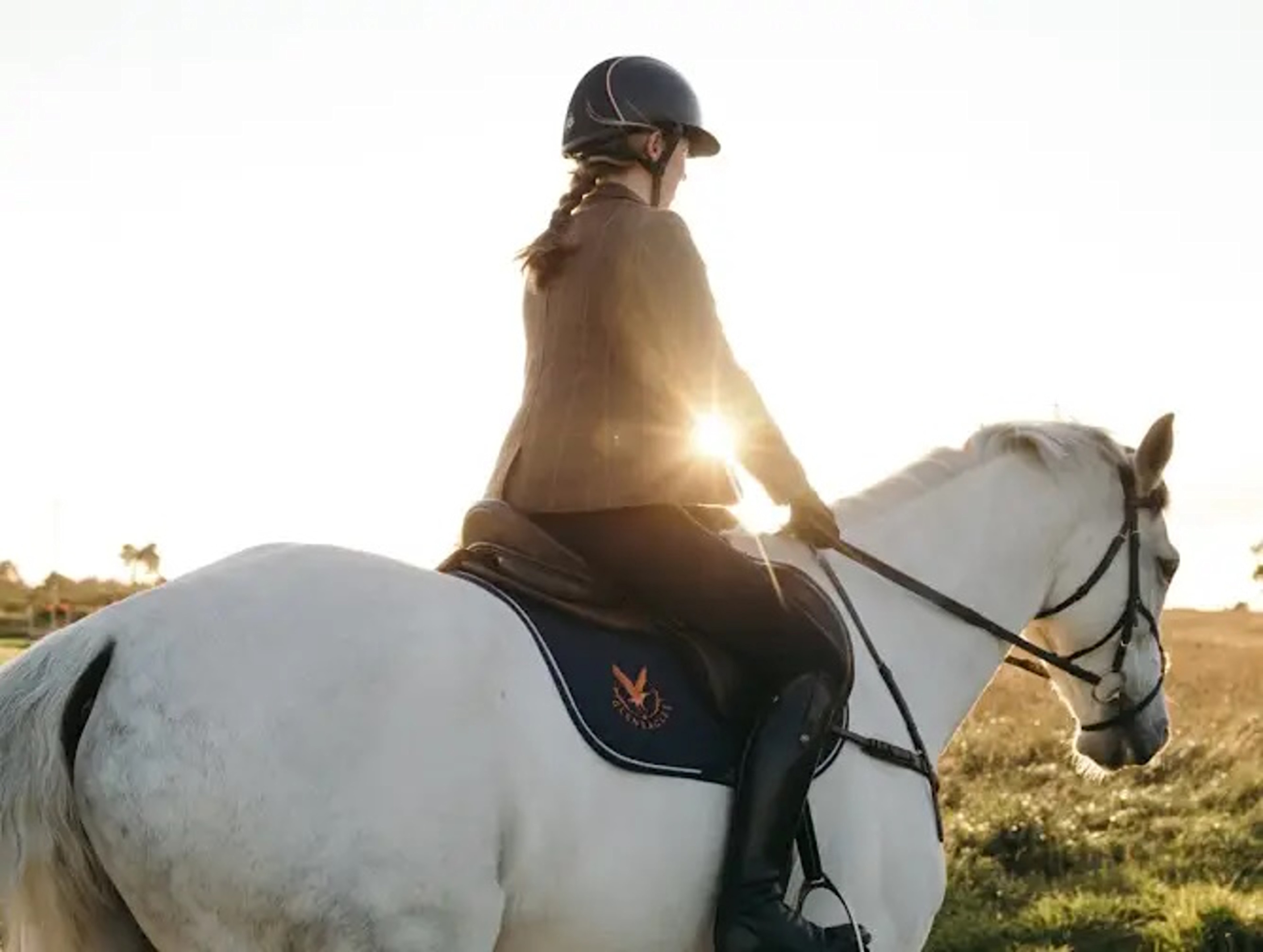 Equestrian