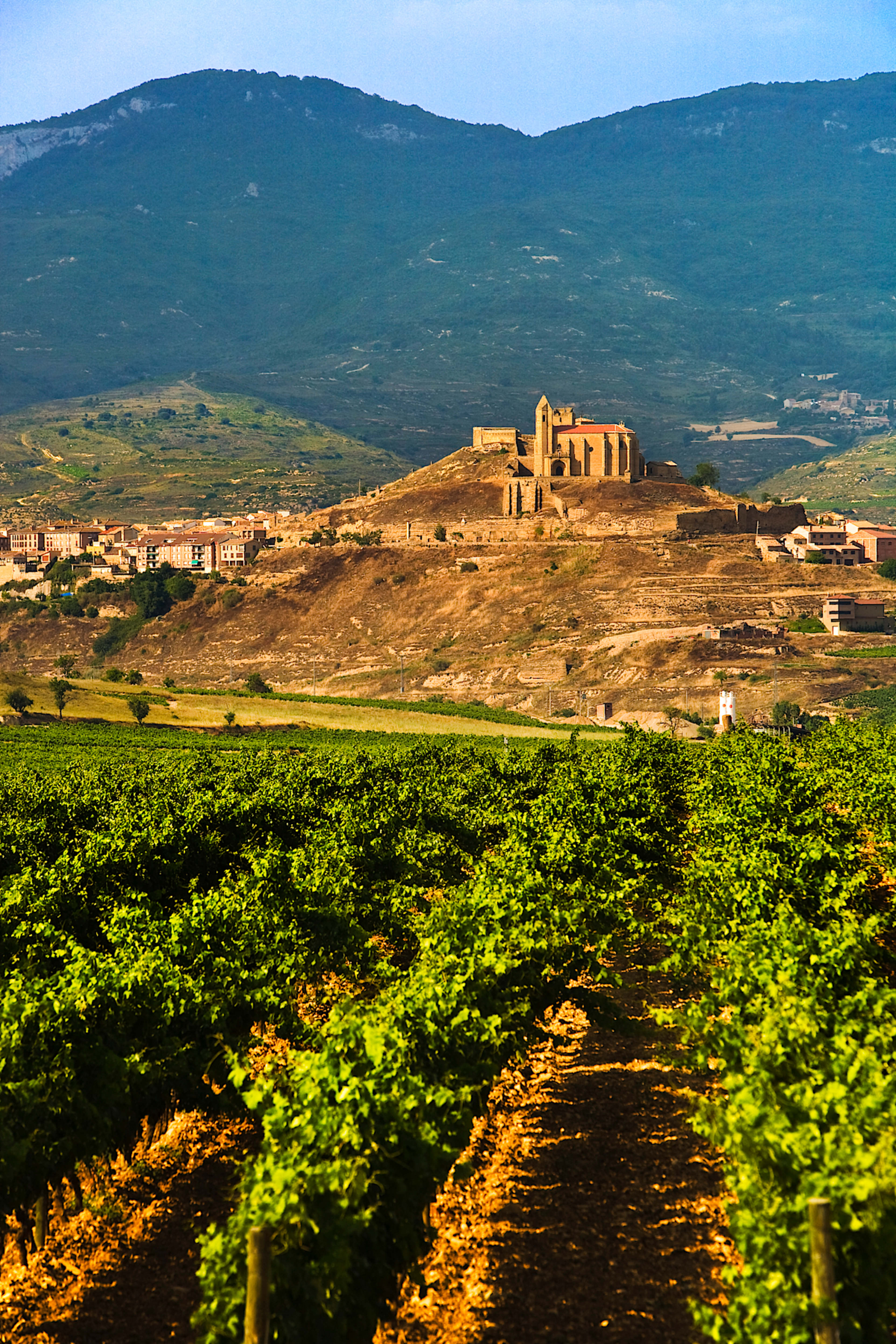 La Rioja Vineyards