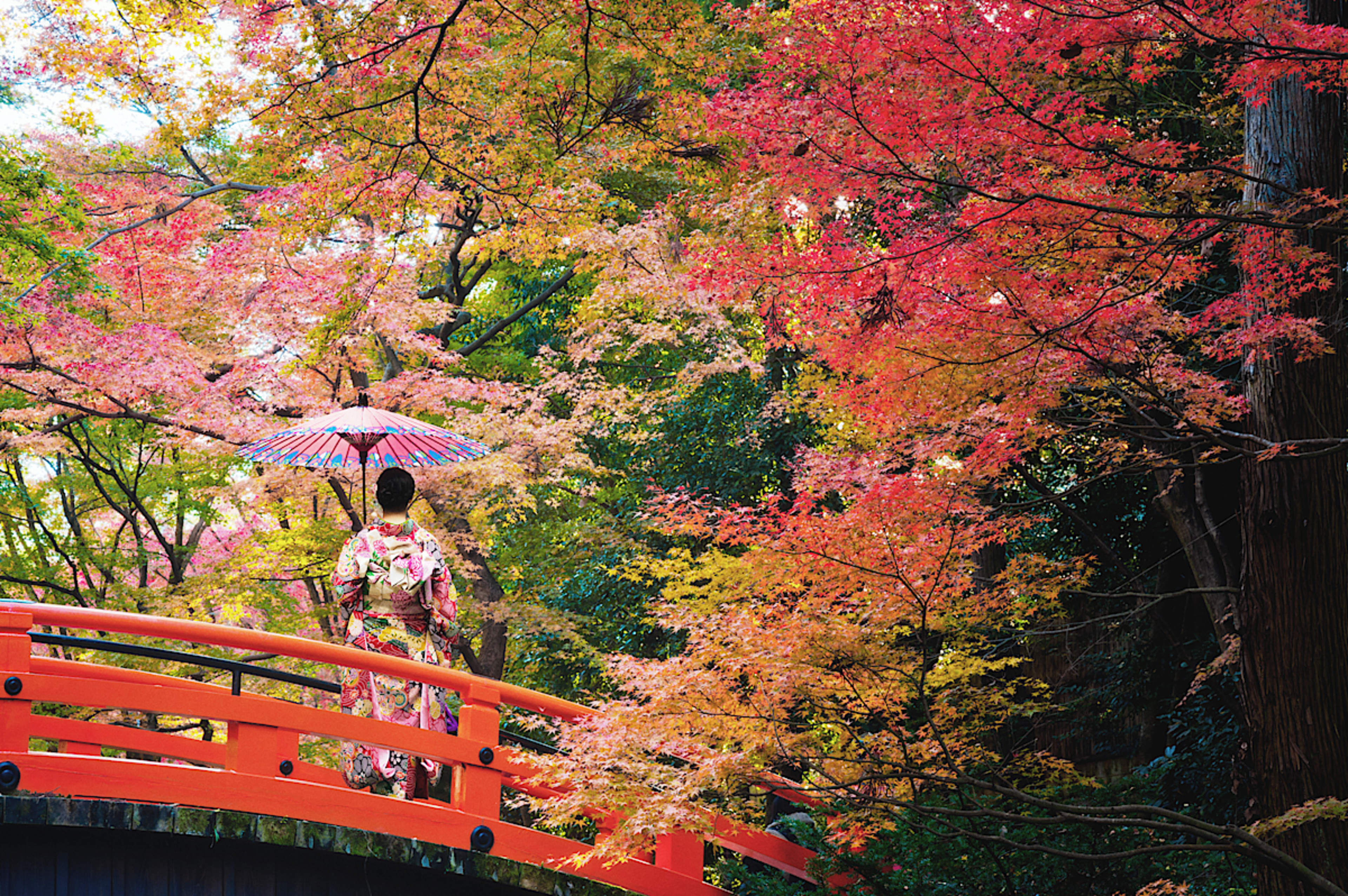 KYOTO TO OSAKA