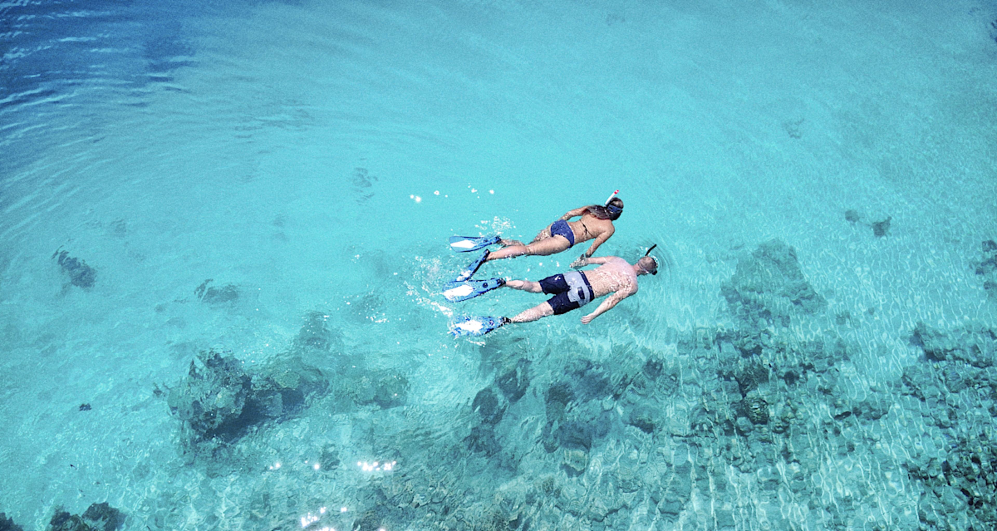 Self Guided Snorkeling