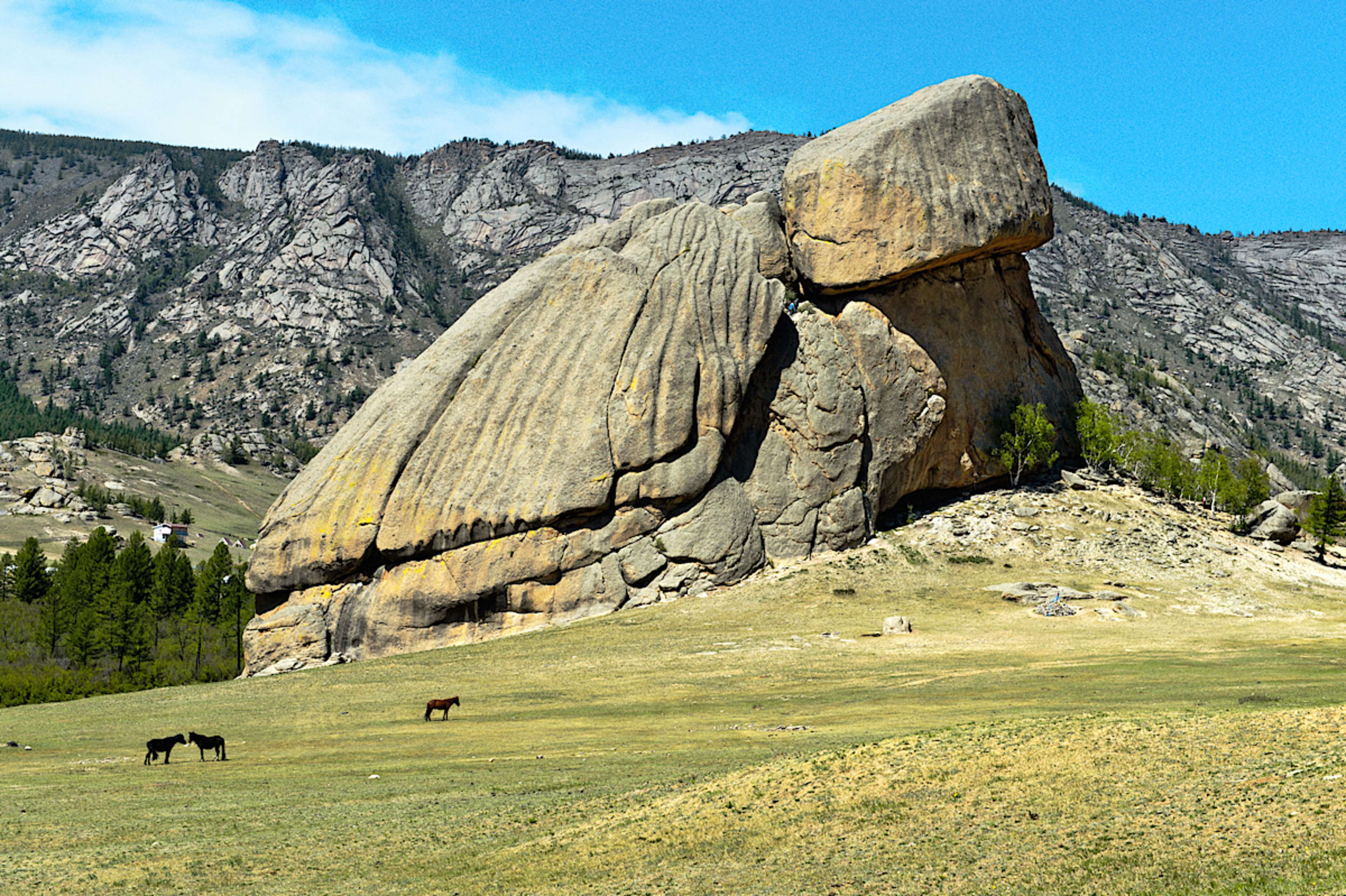 Turtle Rock