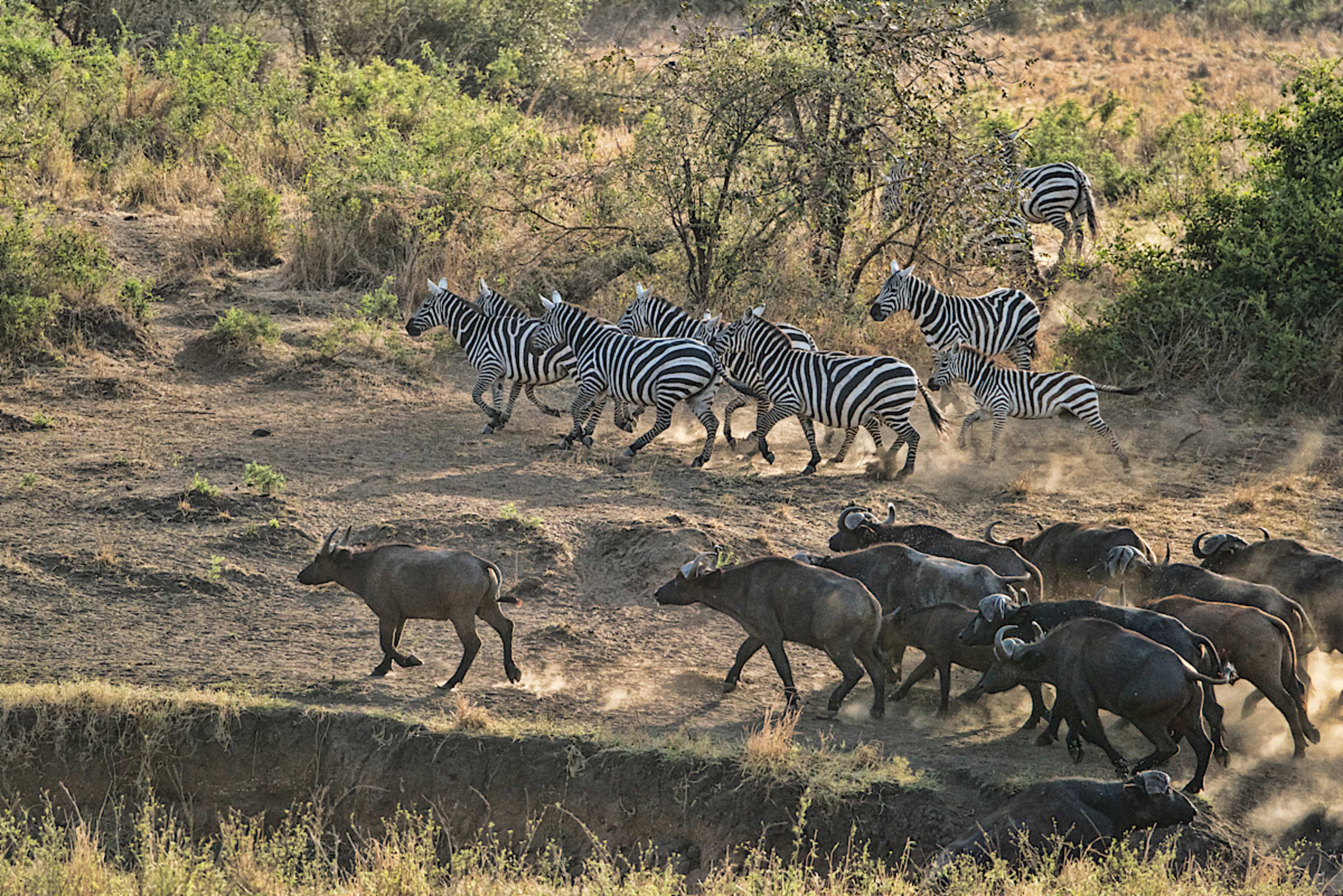 KIDEPO VALLEY NATIONAL PARK
