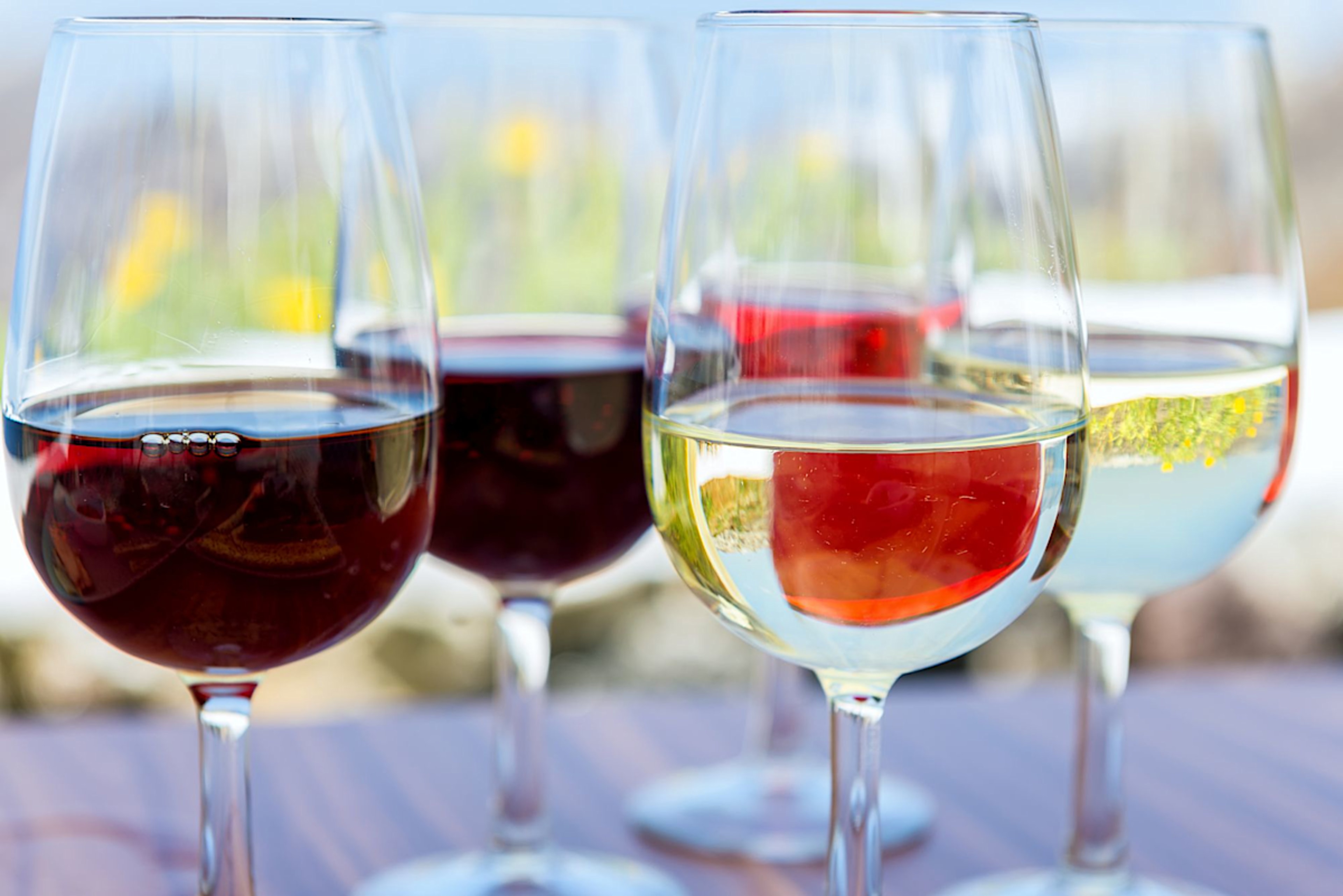 Wine Tasting