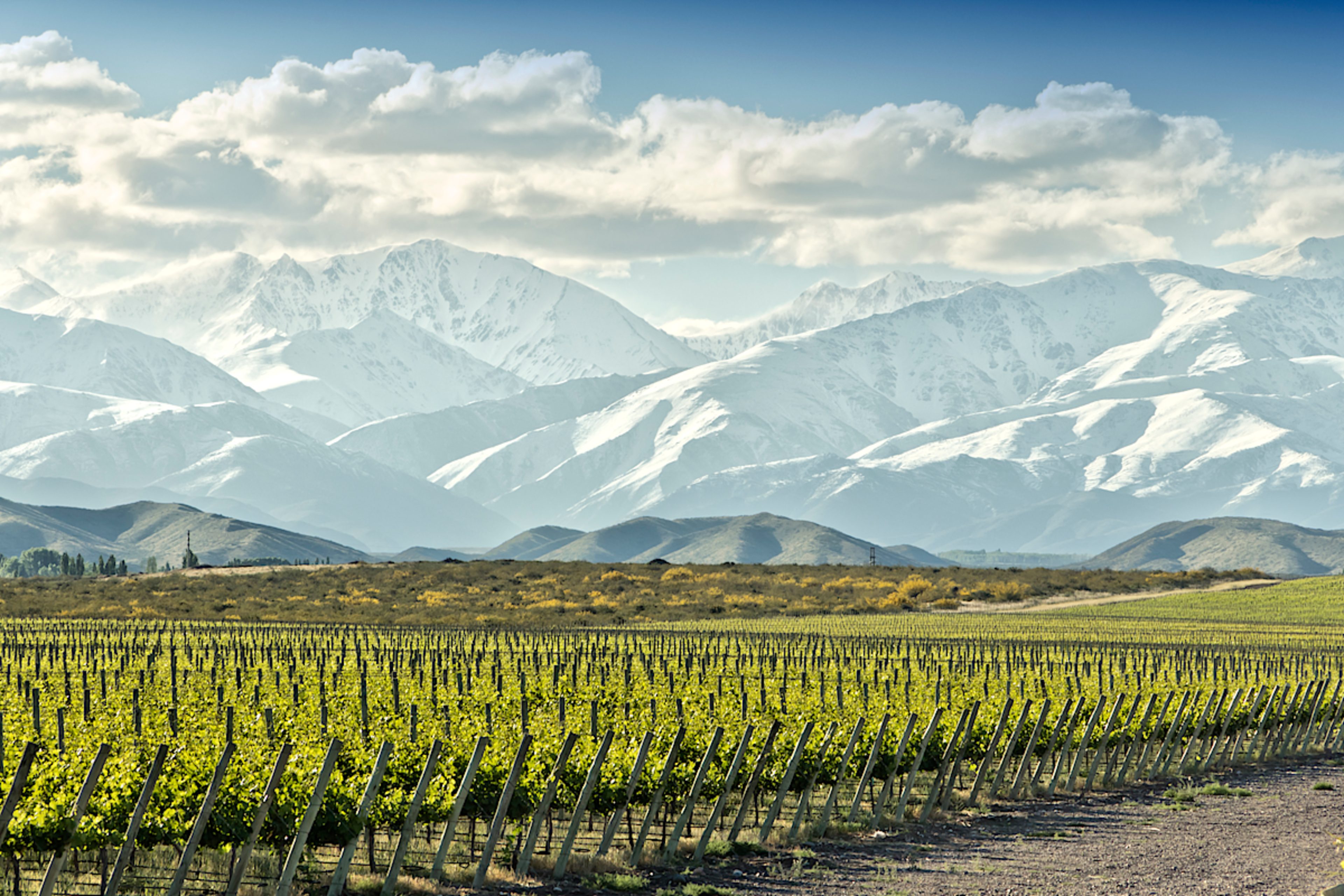 Mendoza