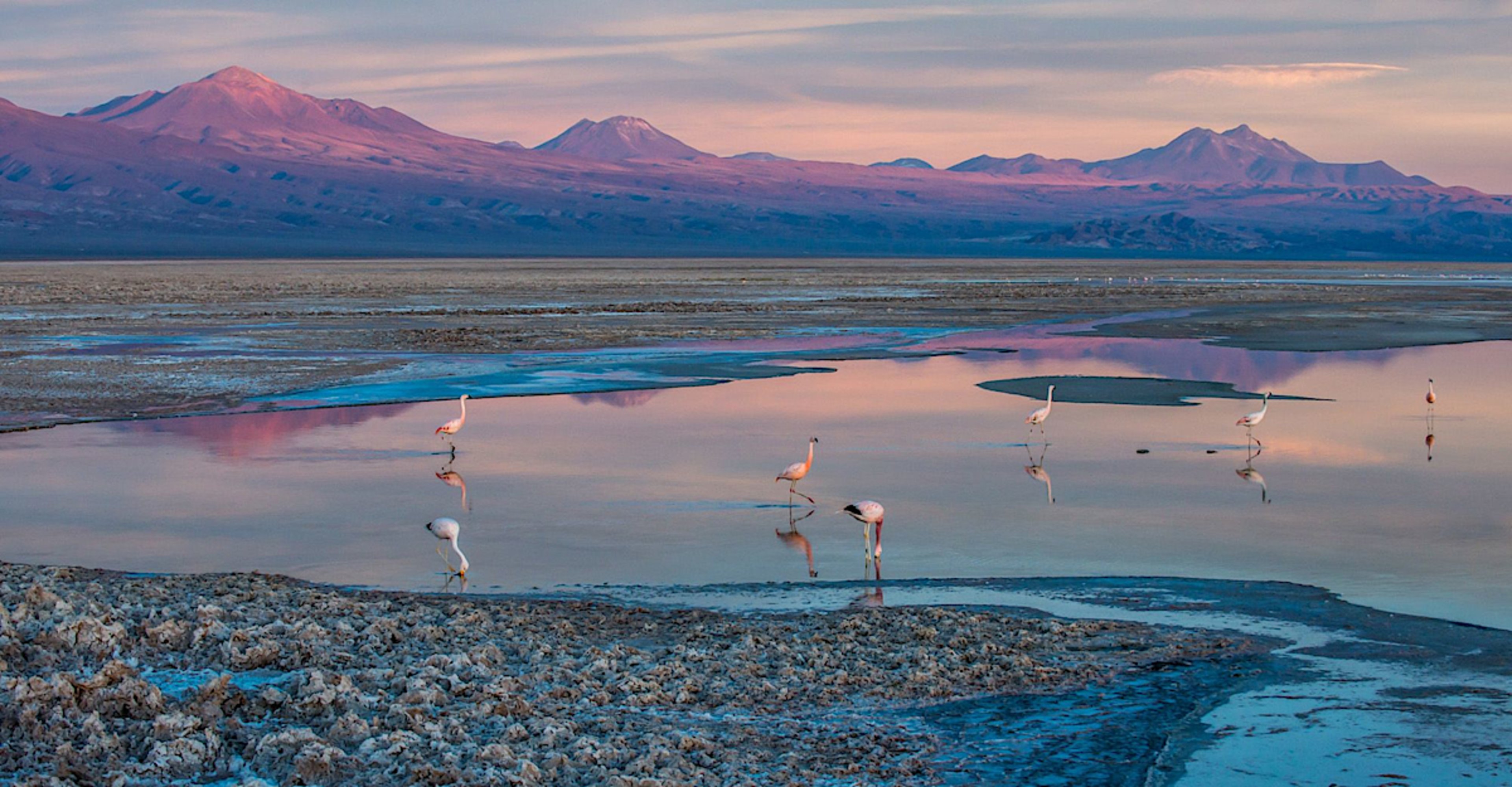 Atacama Salt Flats