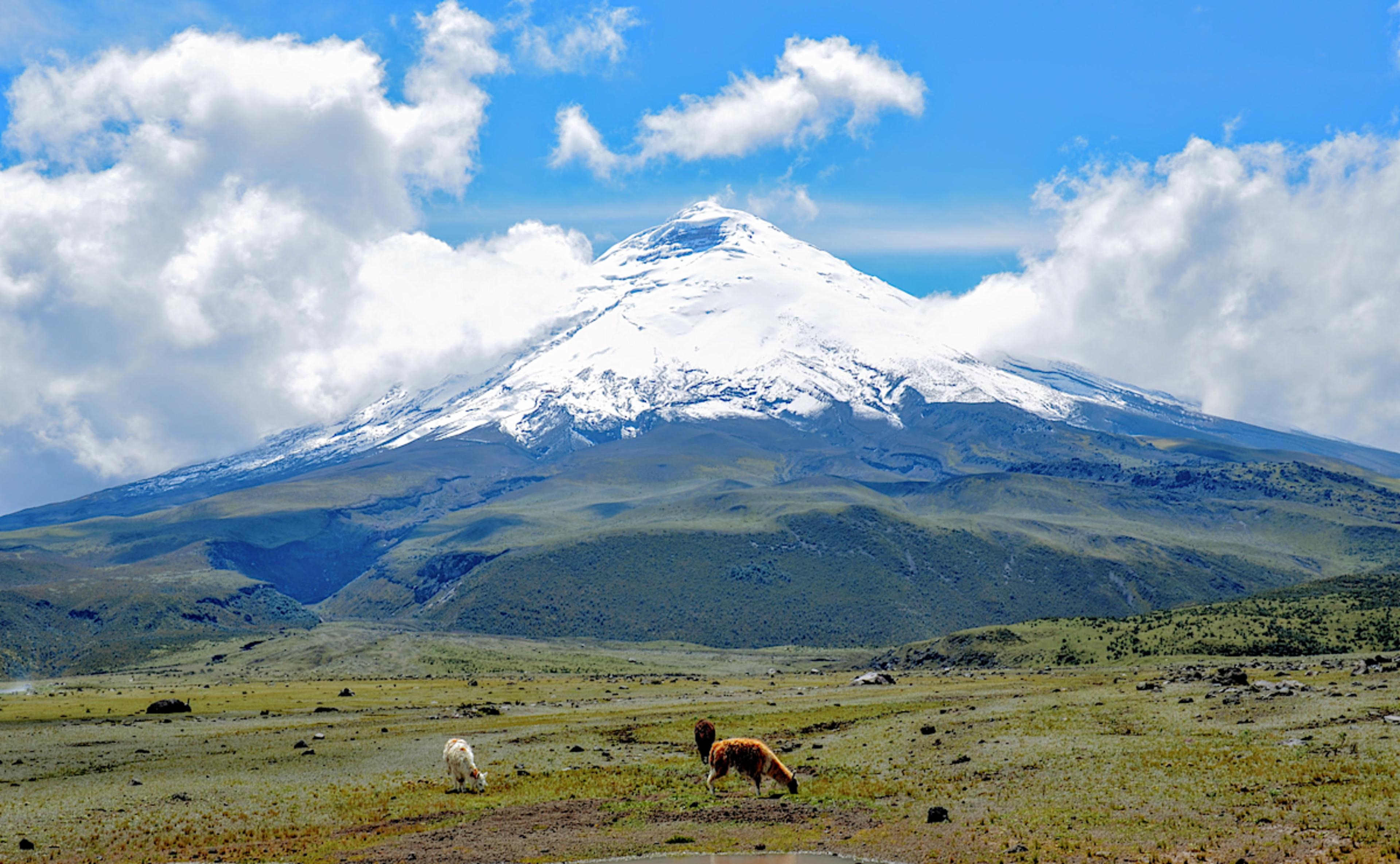 Cotopaxi National Park