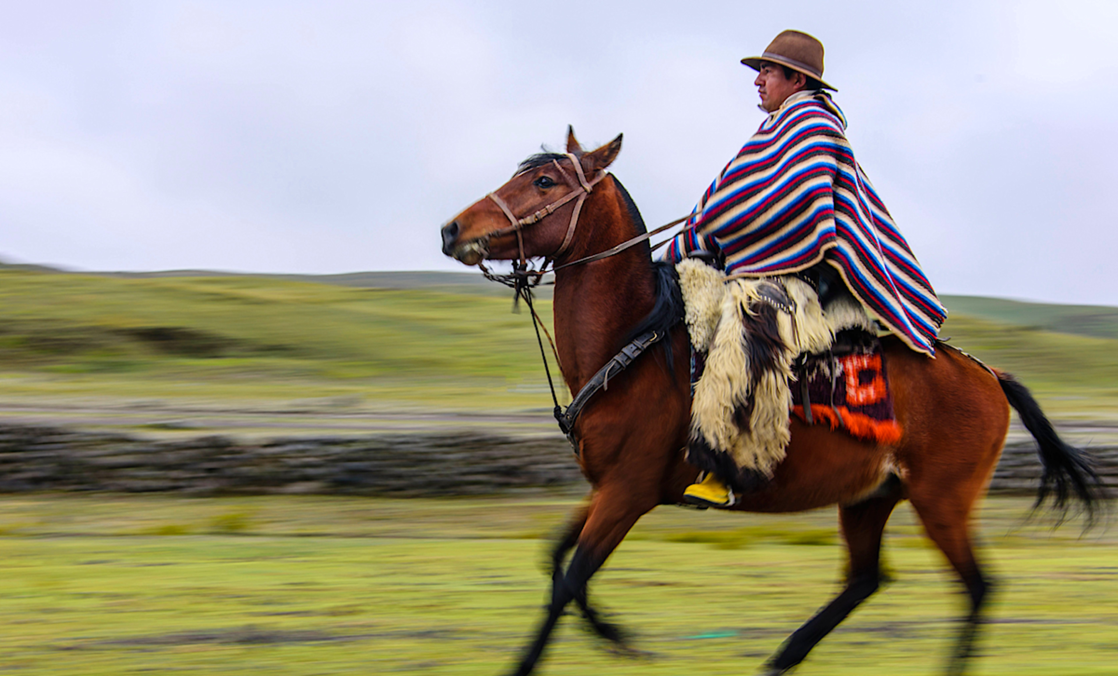 Horseback Riding