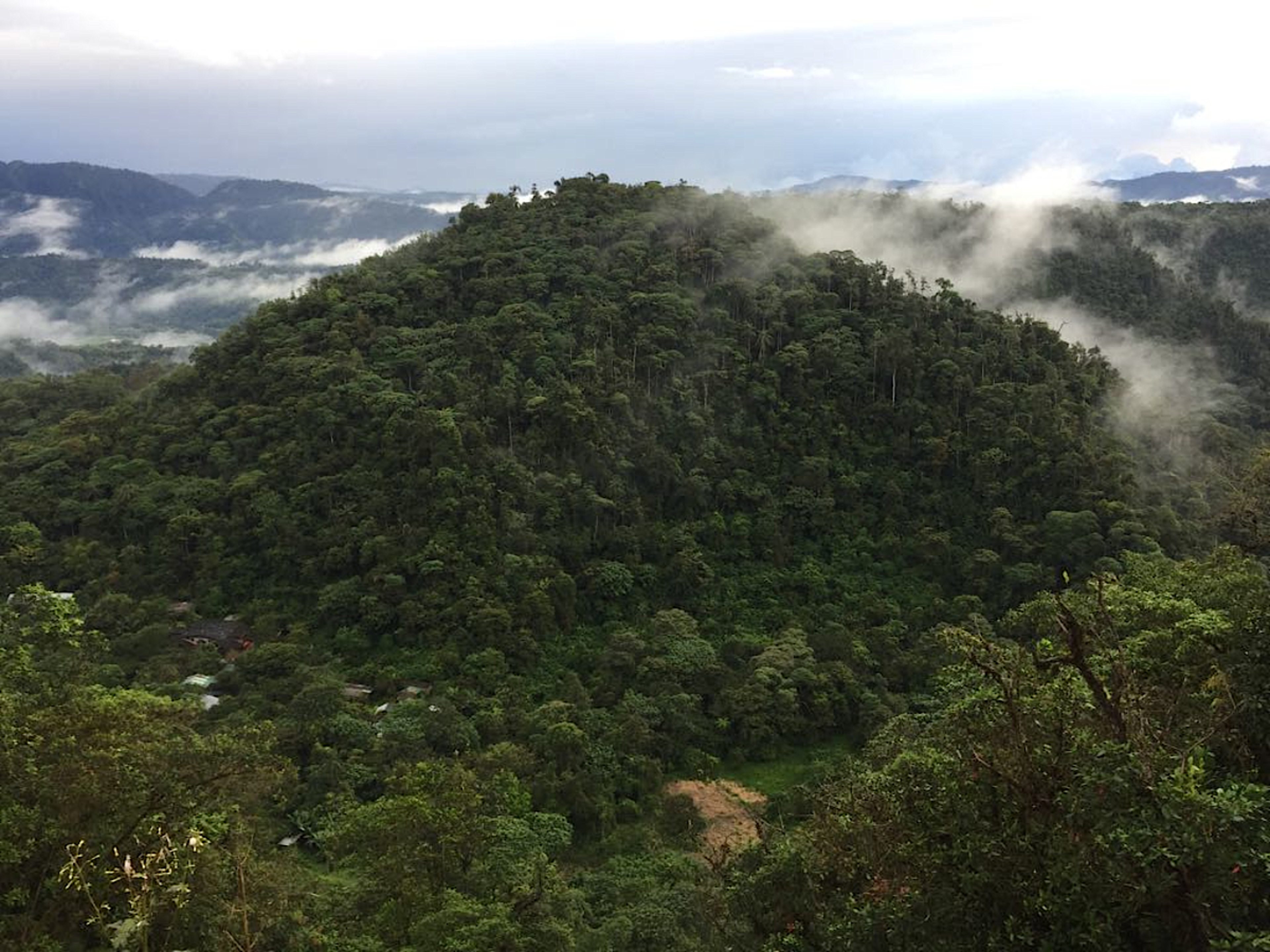 Cloud Forest