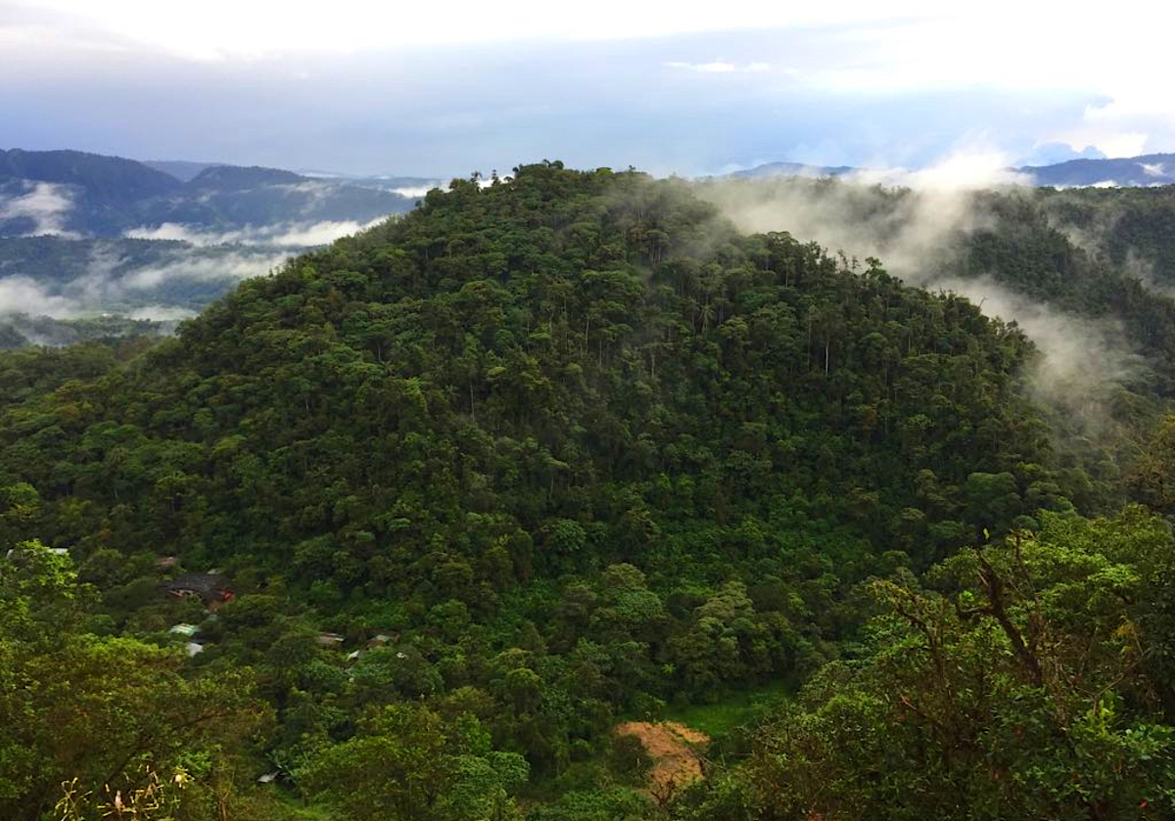 Cloudforest