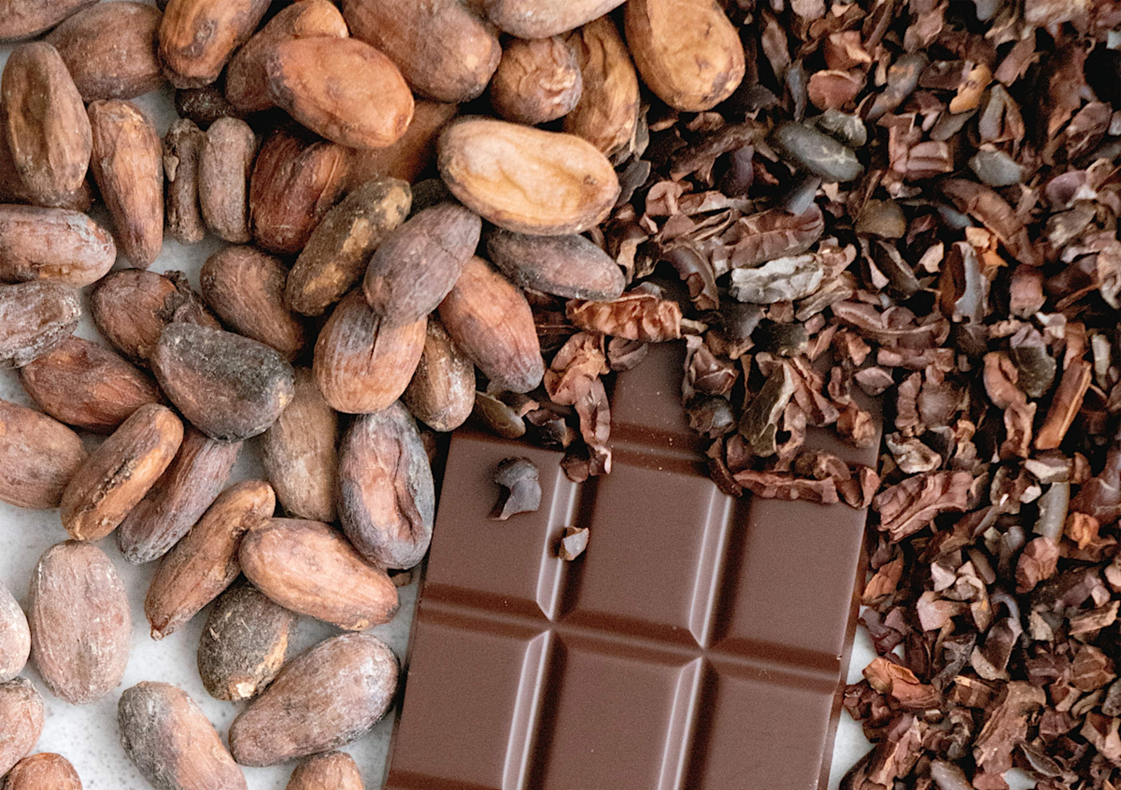 Chocolate Factory: From Bean to Bar