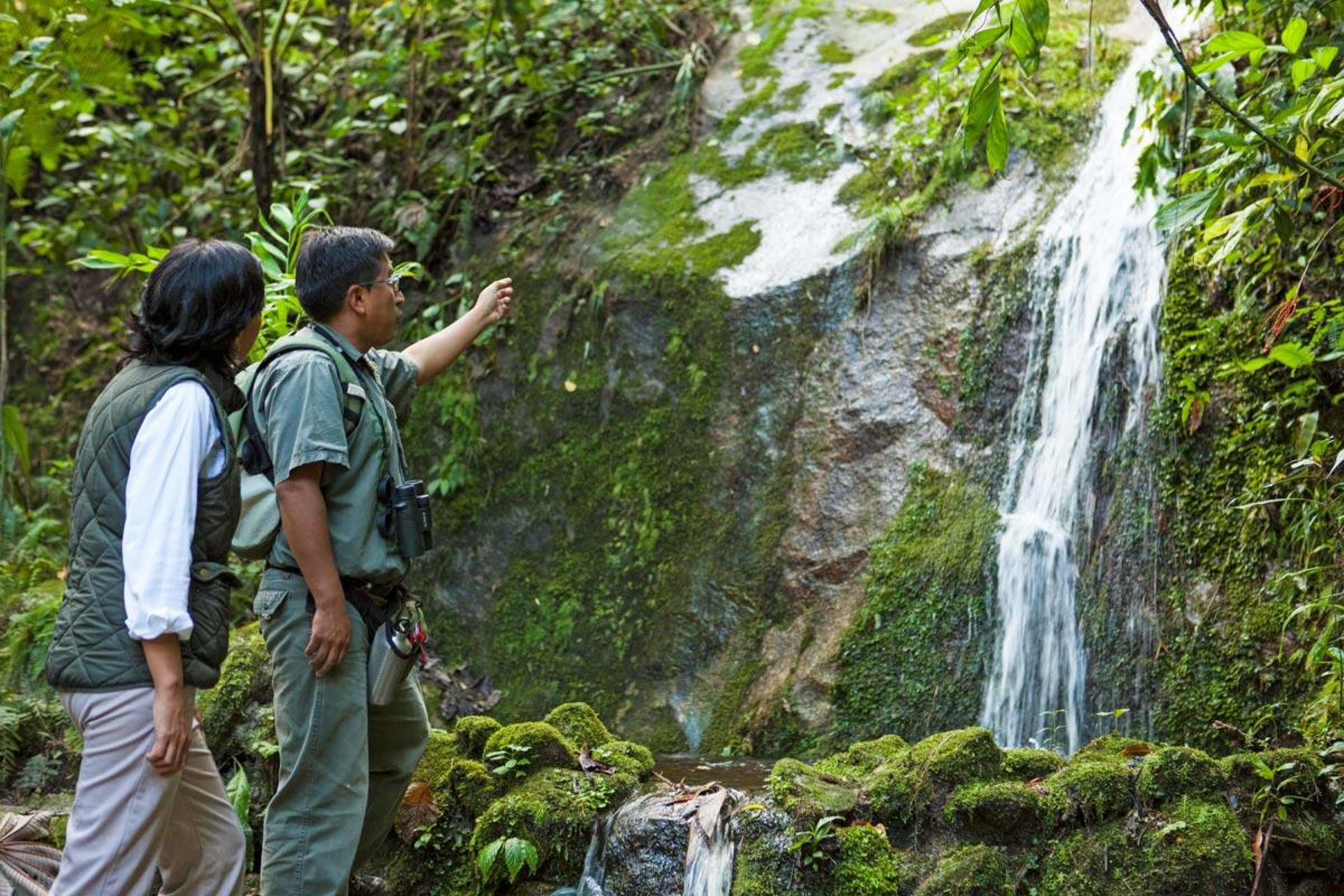 Guided Hike