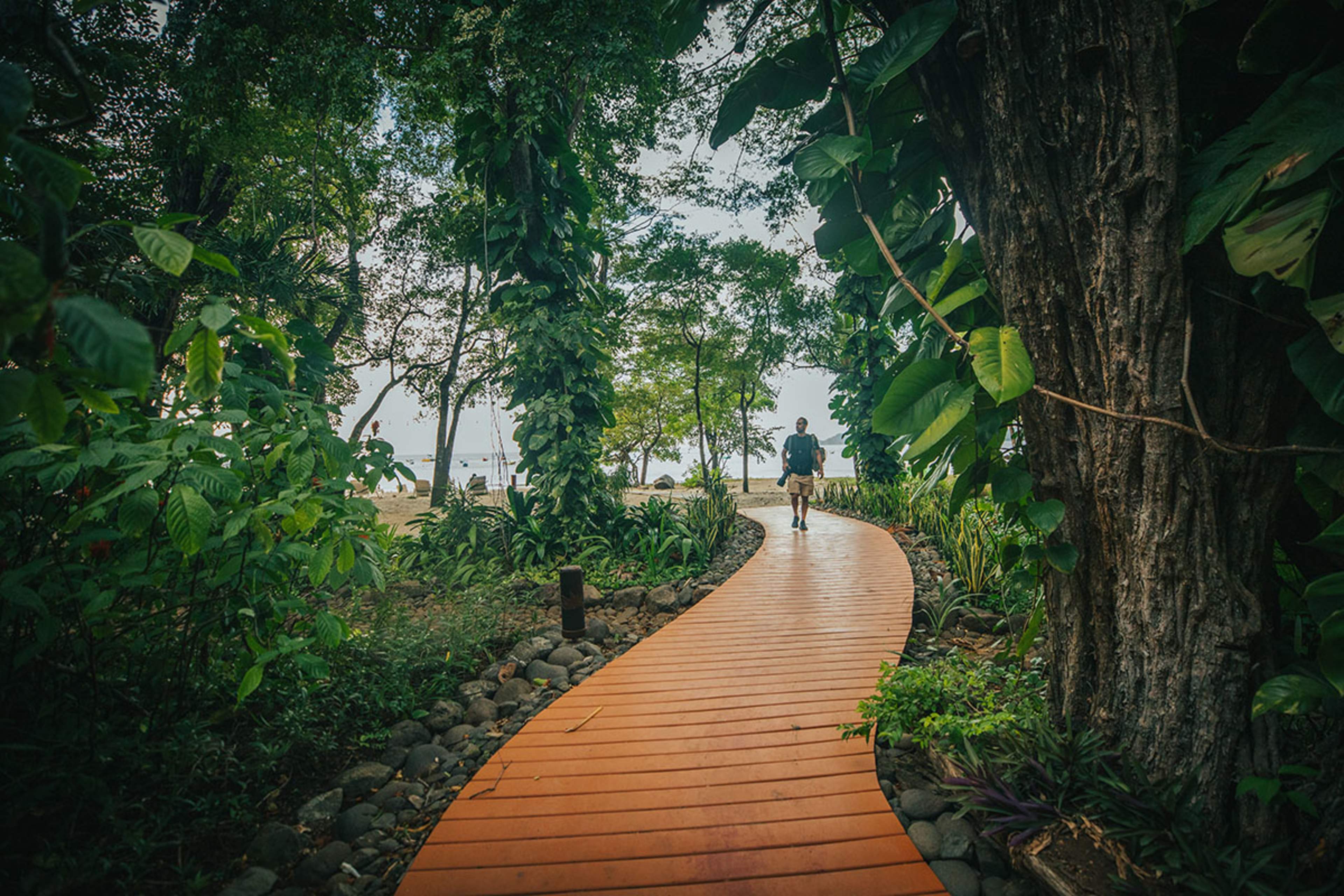 Bosque del Mar Beach Access