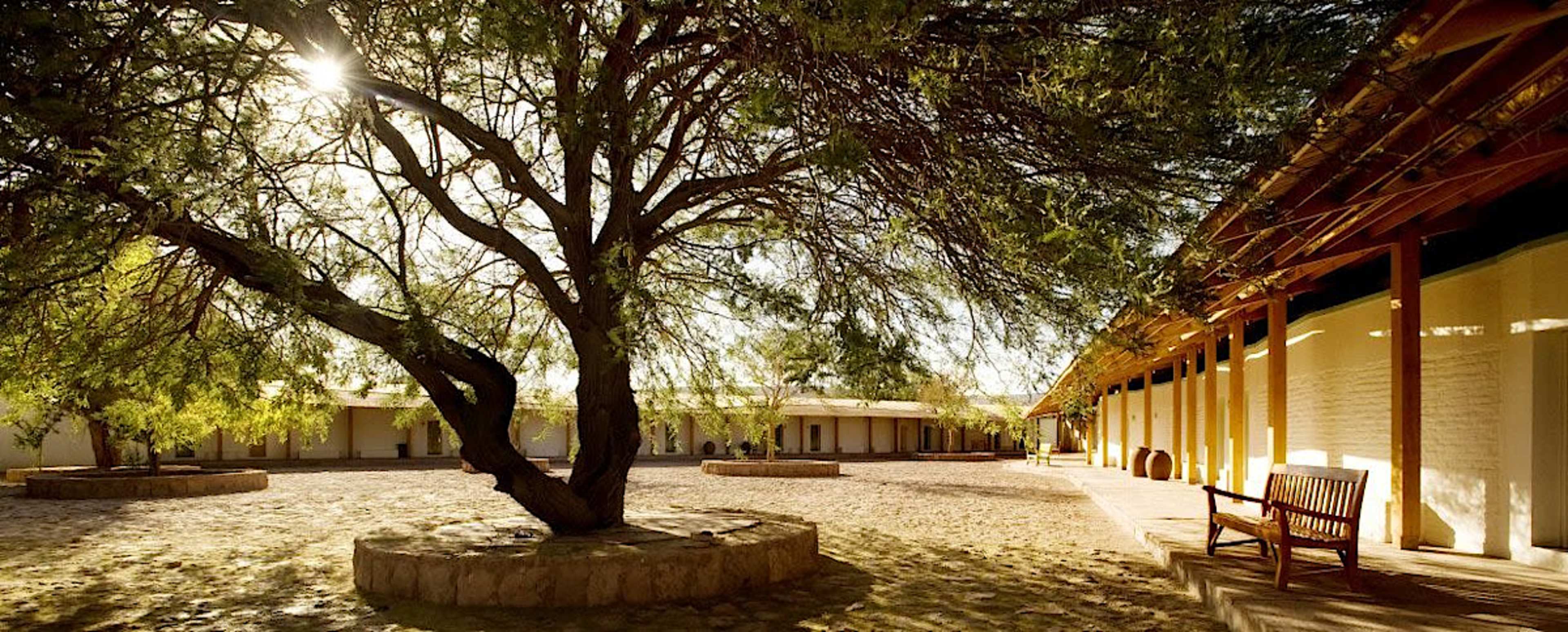 Explora En Atacama