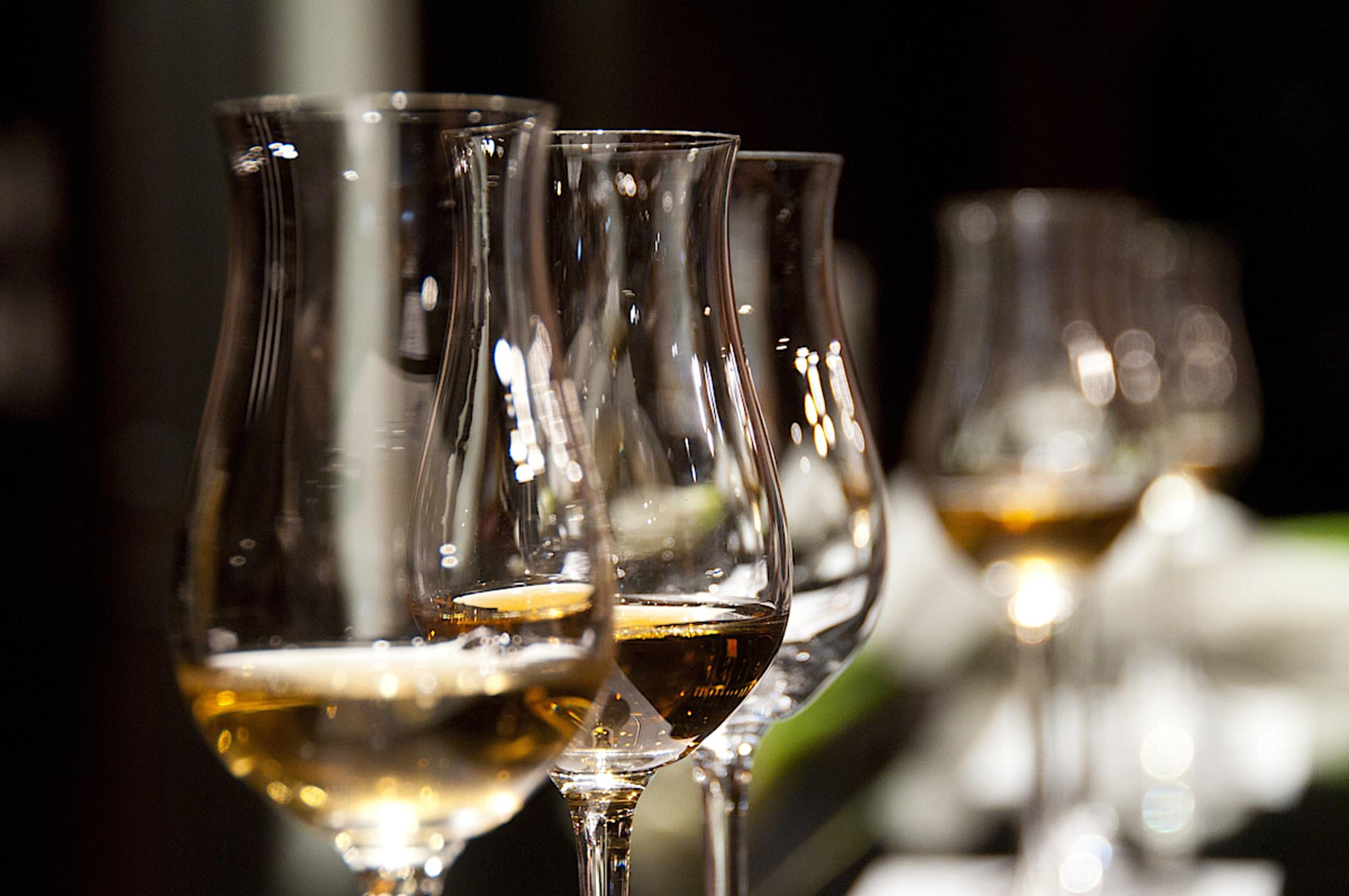 Wine Tasting