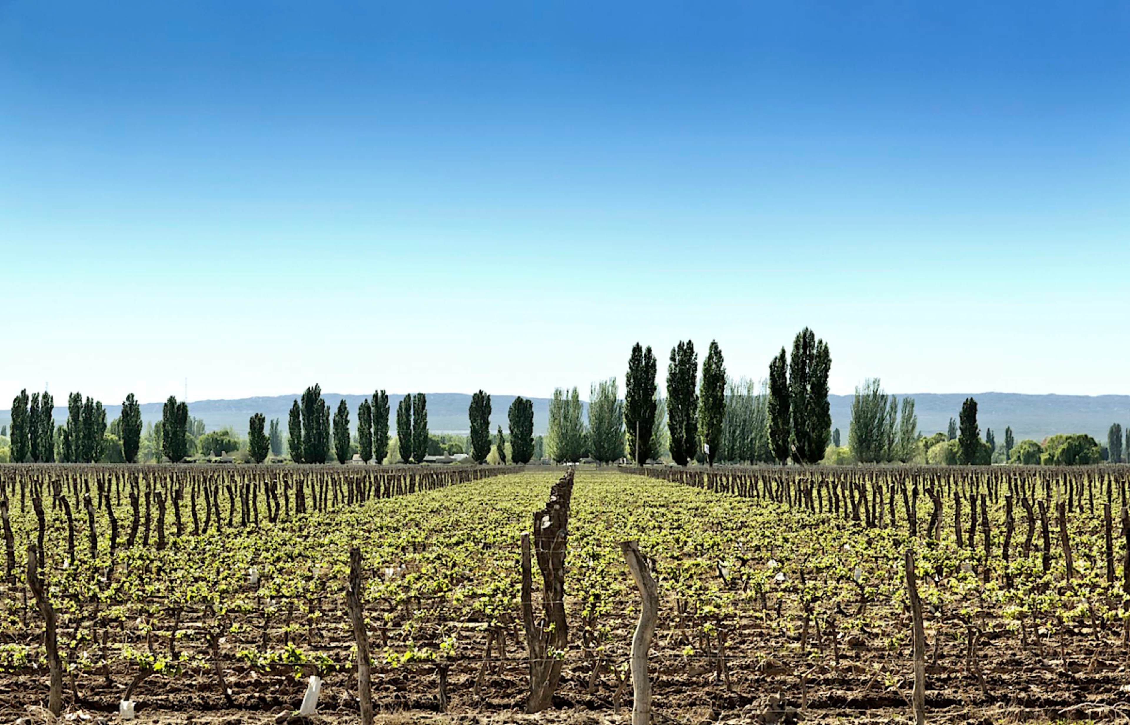 Casablanca Valley