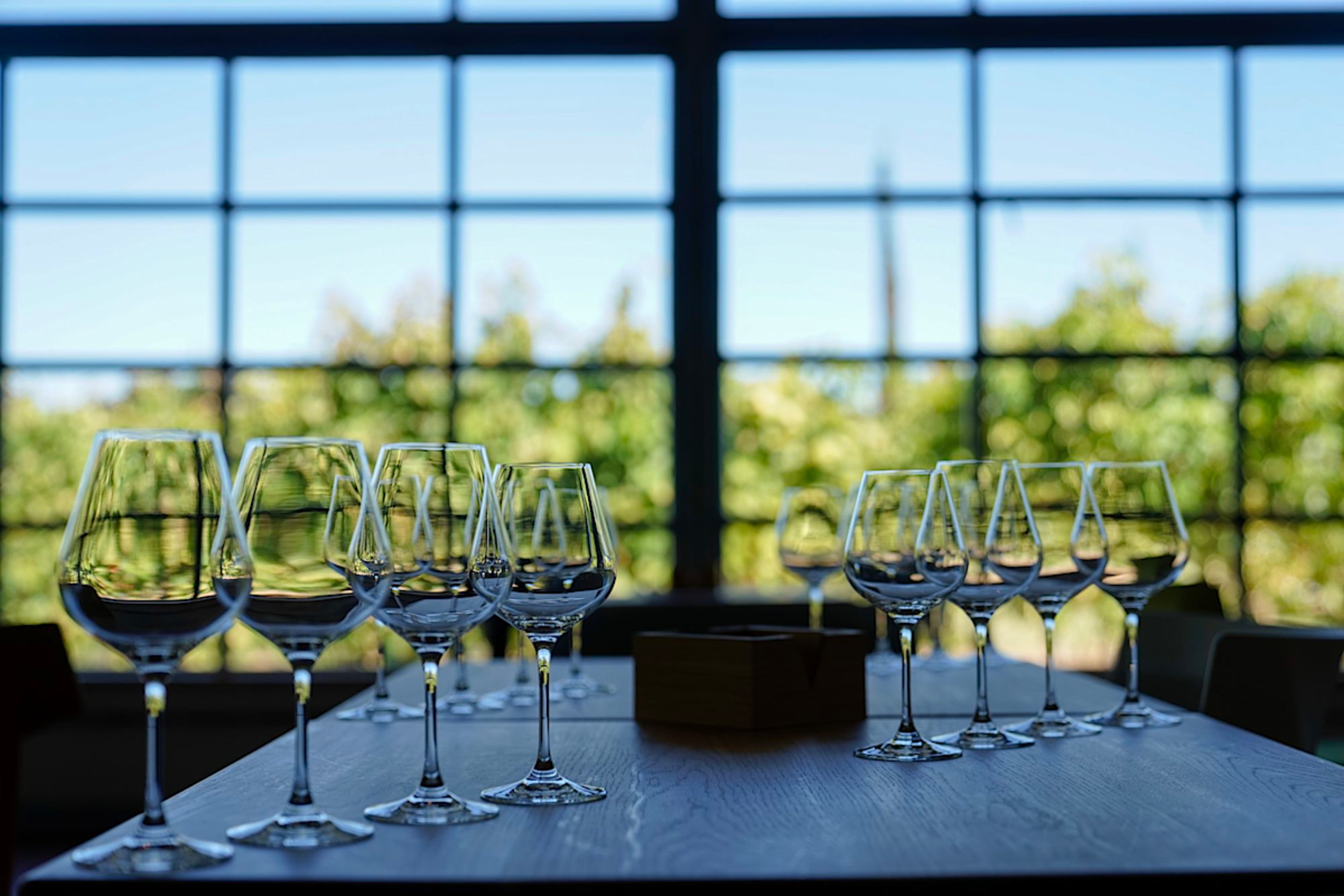 Wine Tasting