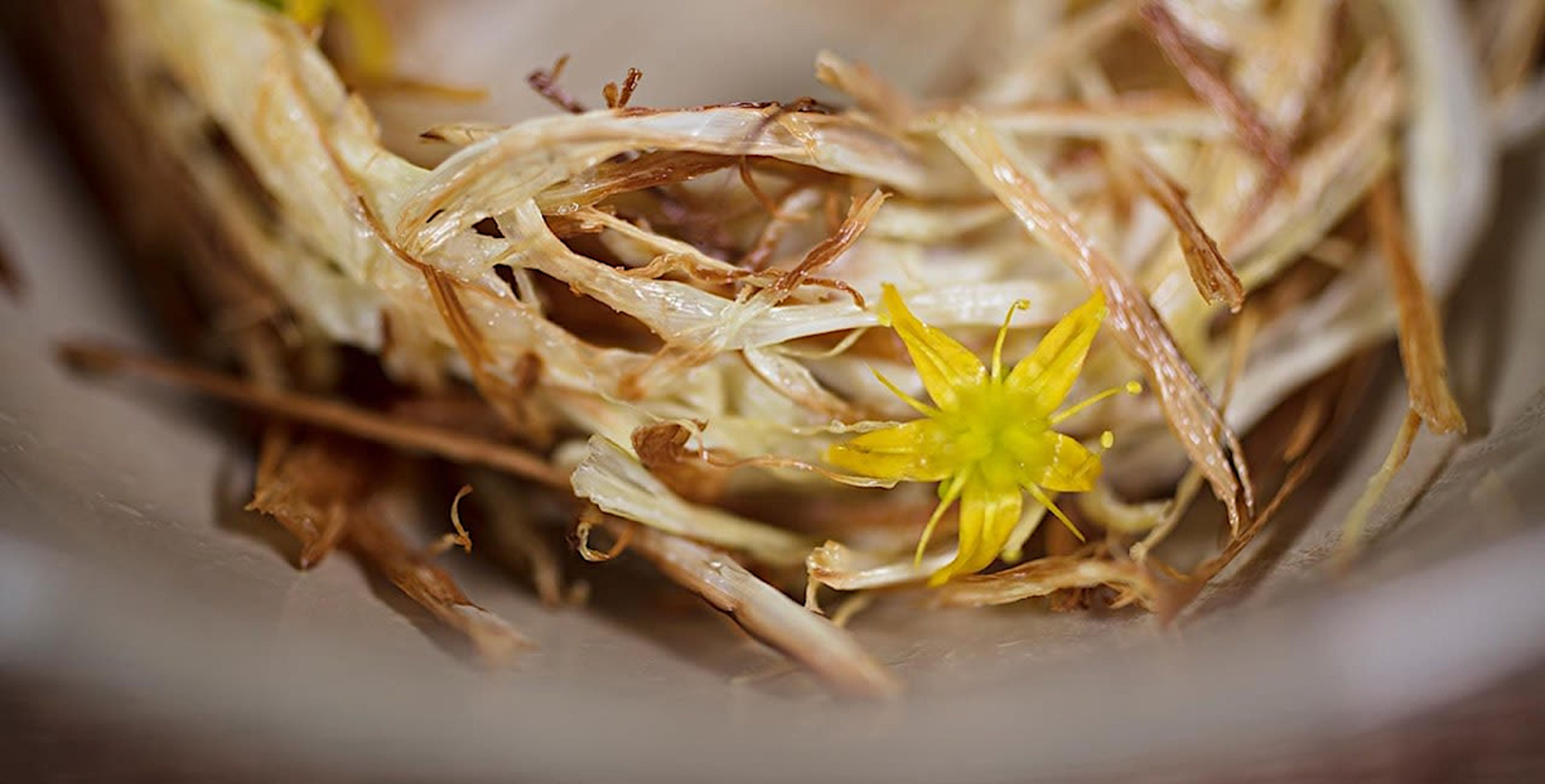 Gustu Restaurant Fine Dining