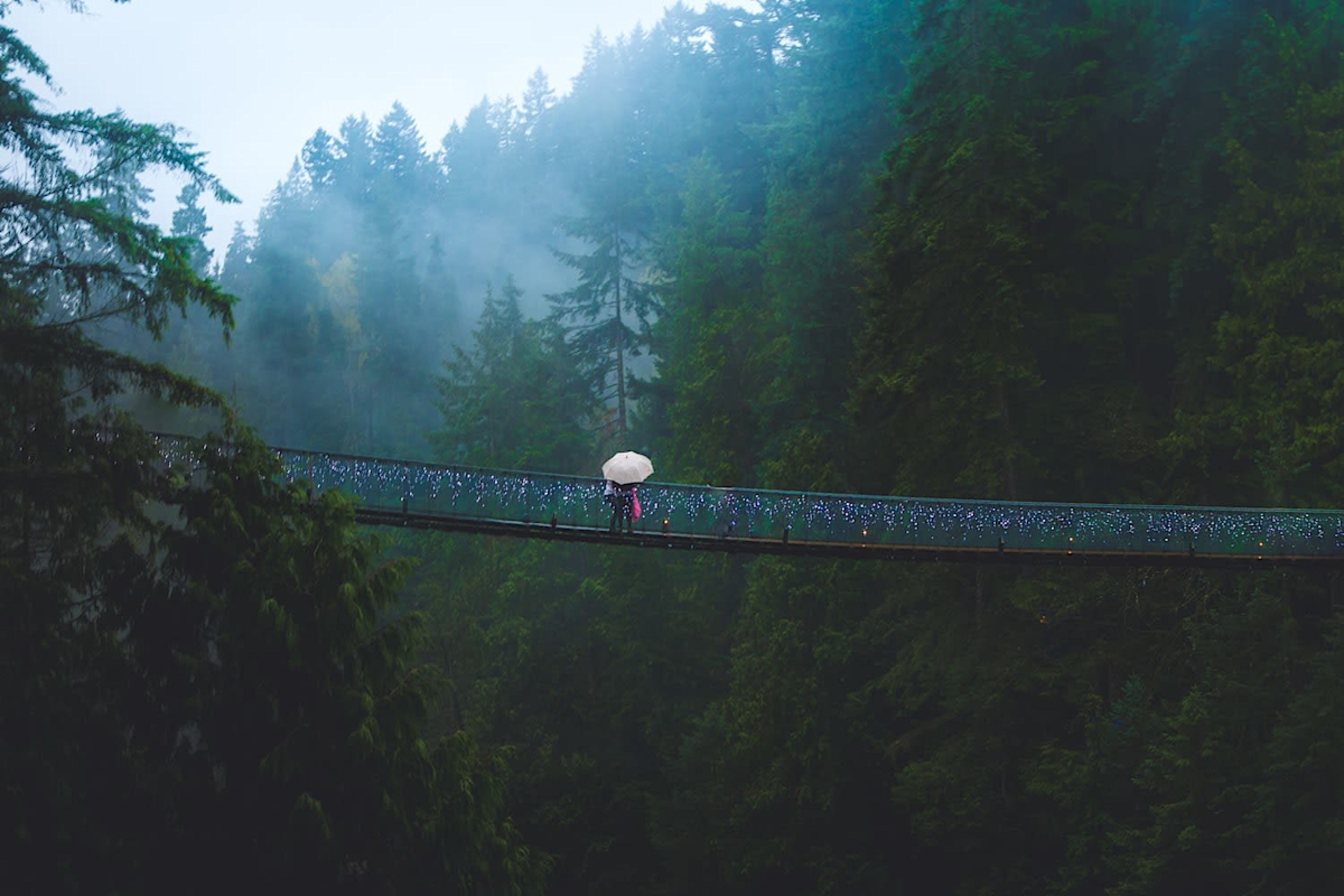 Capilano Suspension Bridge