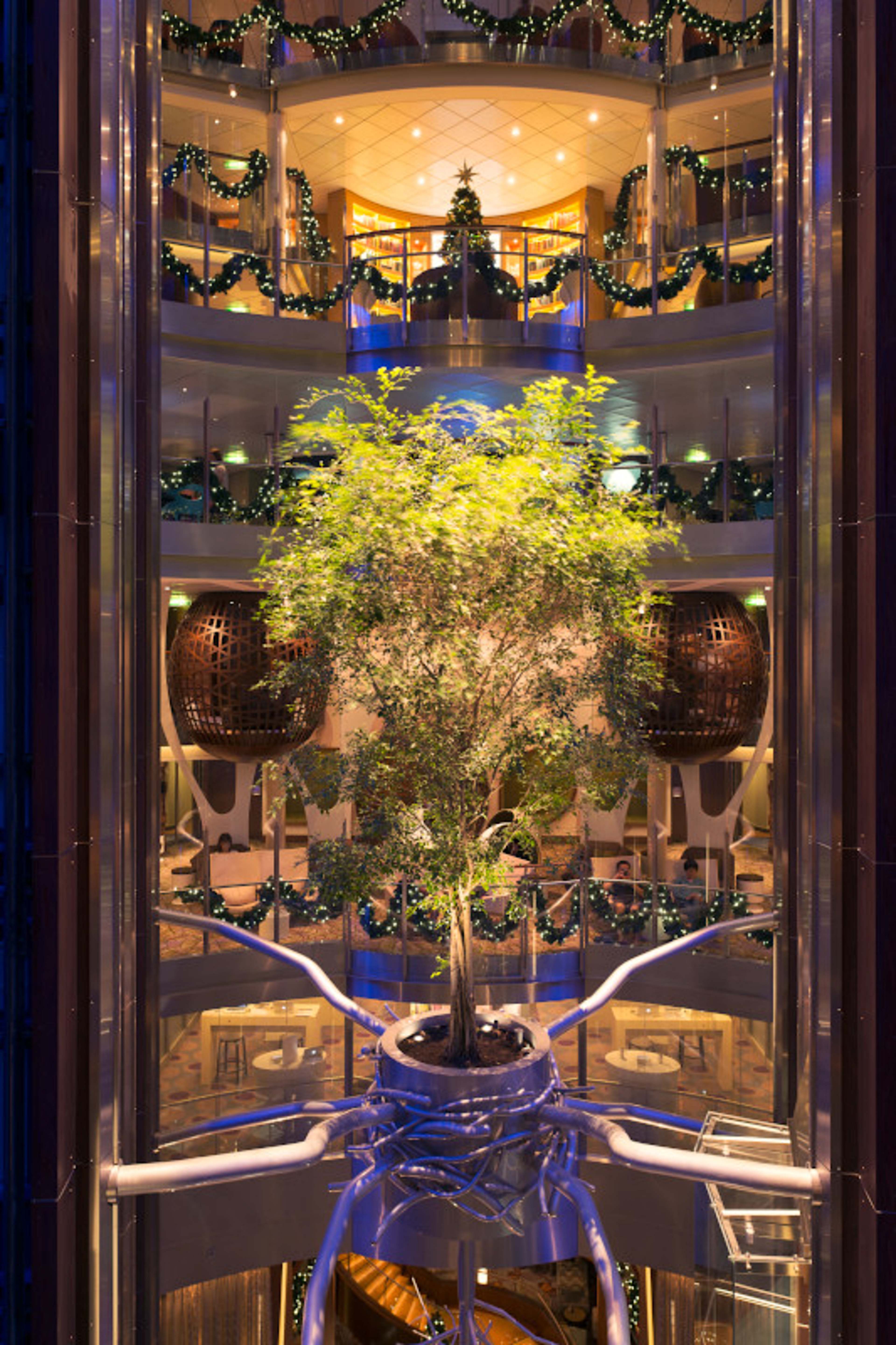 The Hideaway