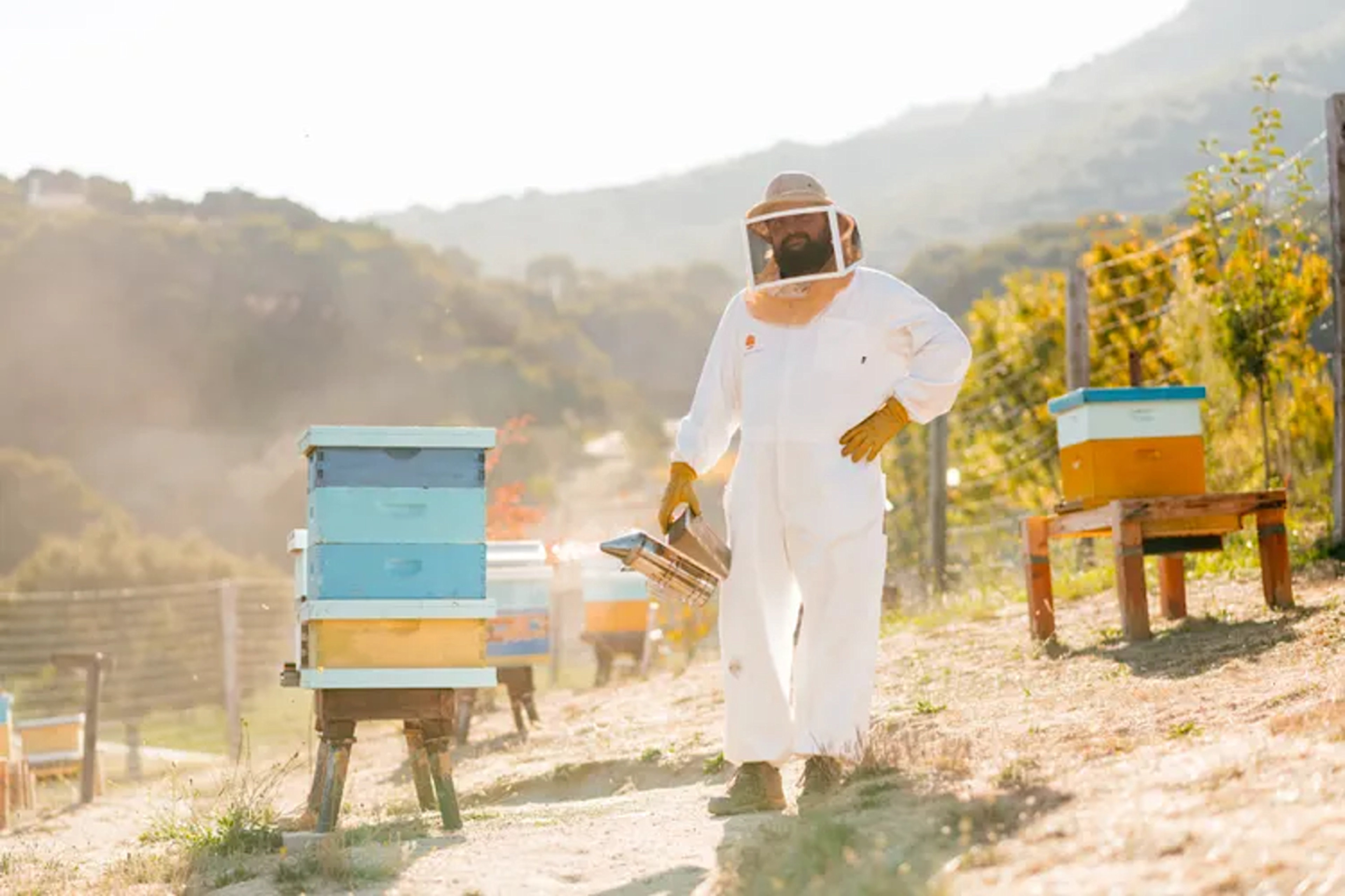 The Ancient Magic of Beekeeping