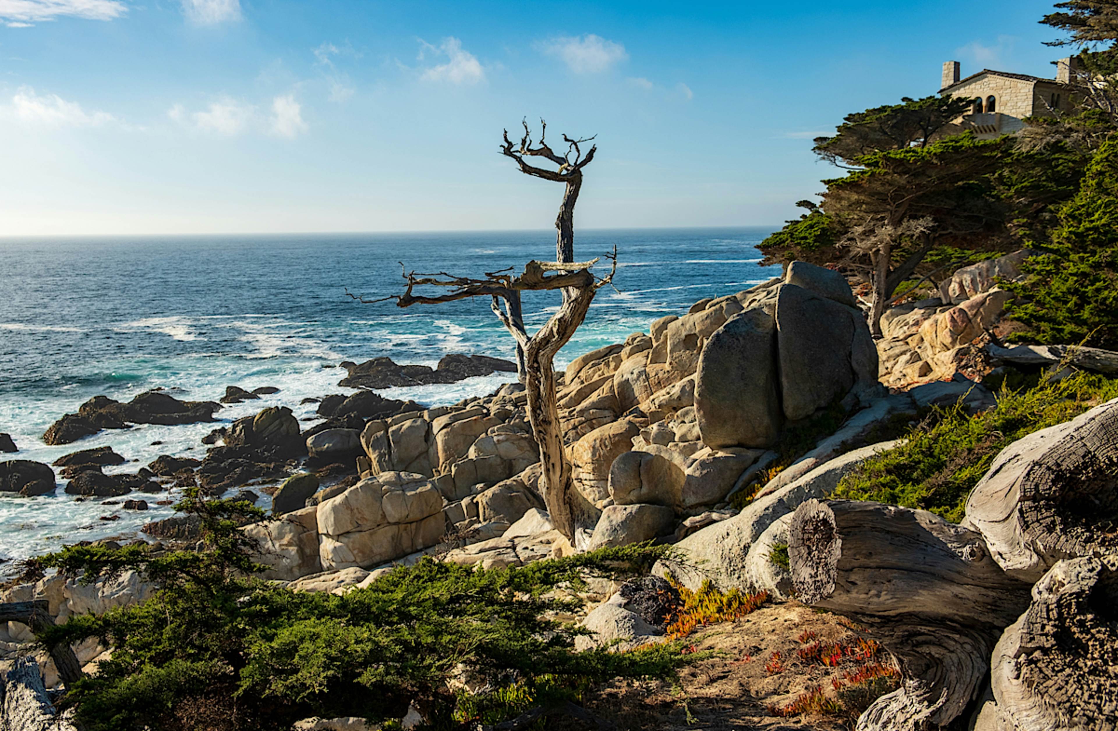17 Mile Drive Along Pebble Beach