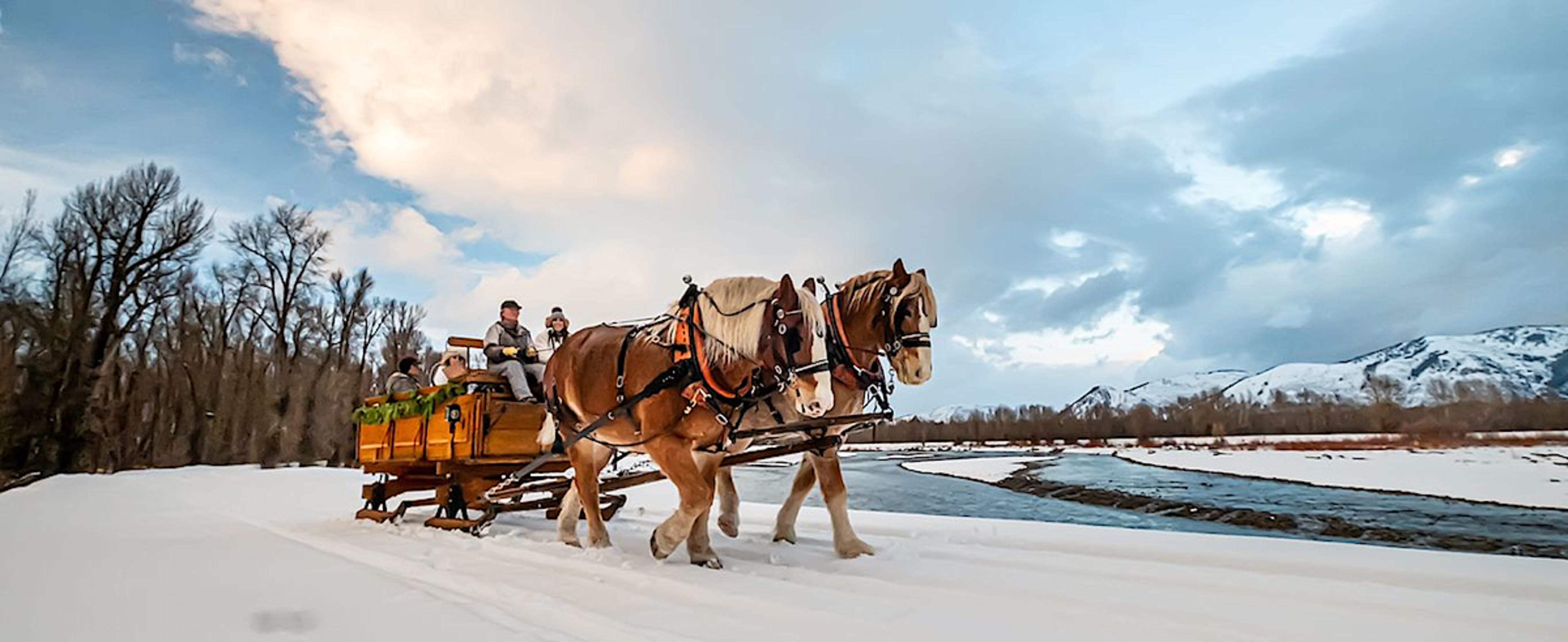Sleigh Ride