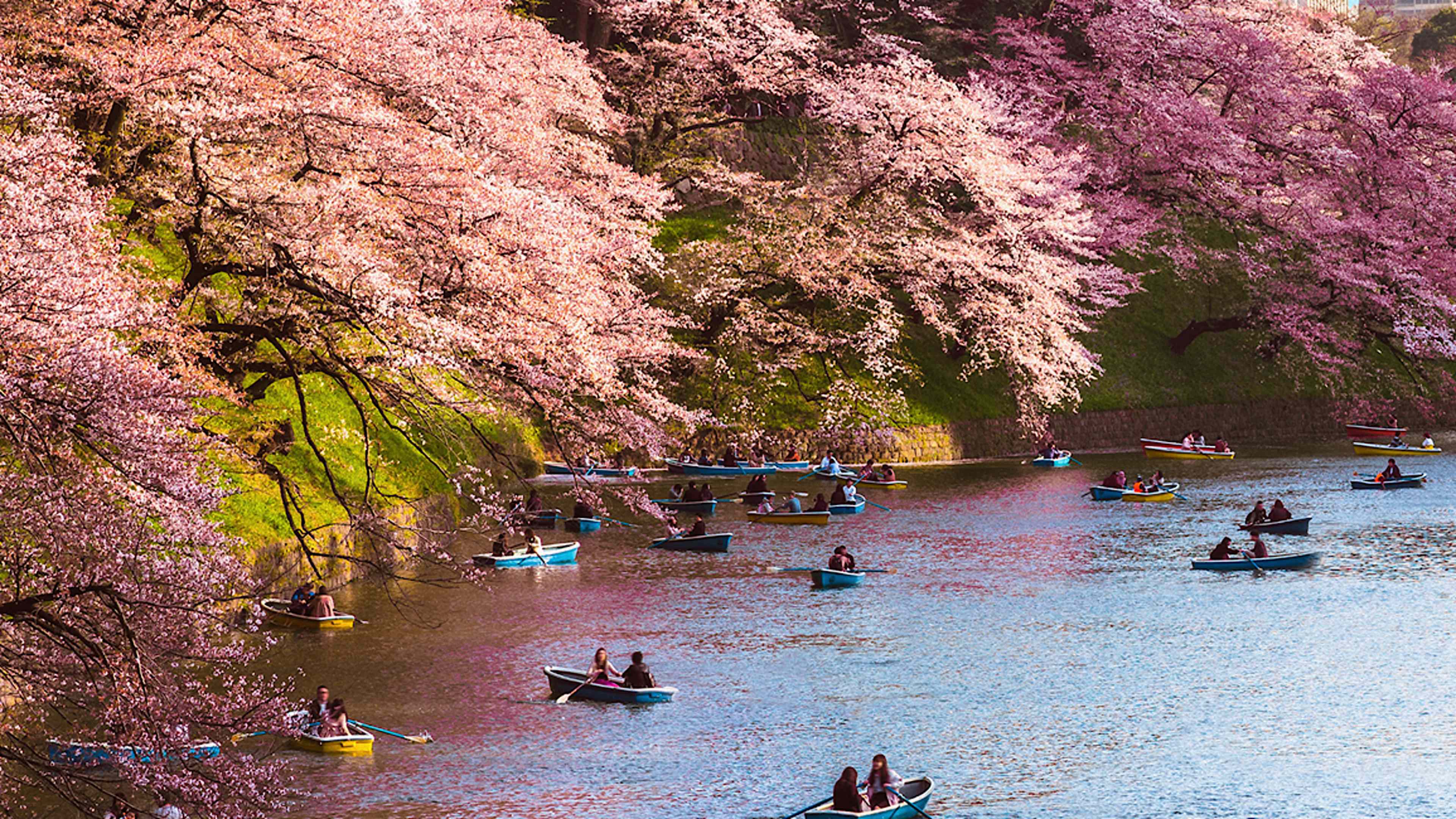 BOOK AHEAD FOR YOUR TAILOR-MADE JAPAN TOUR