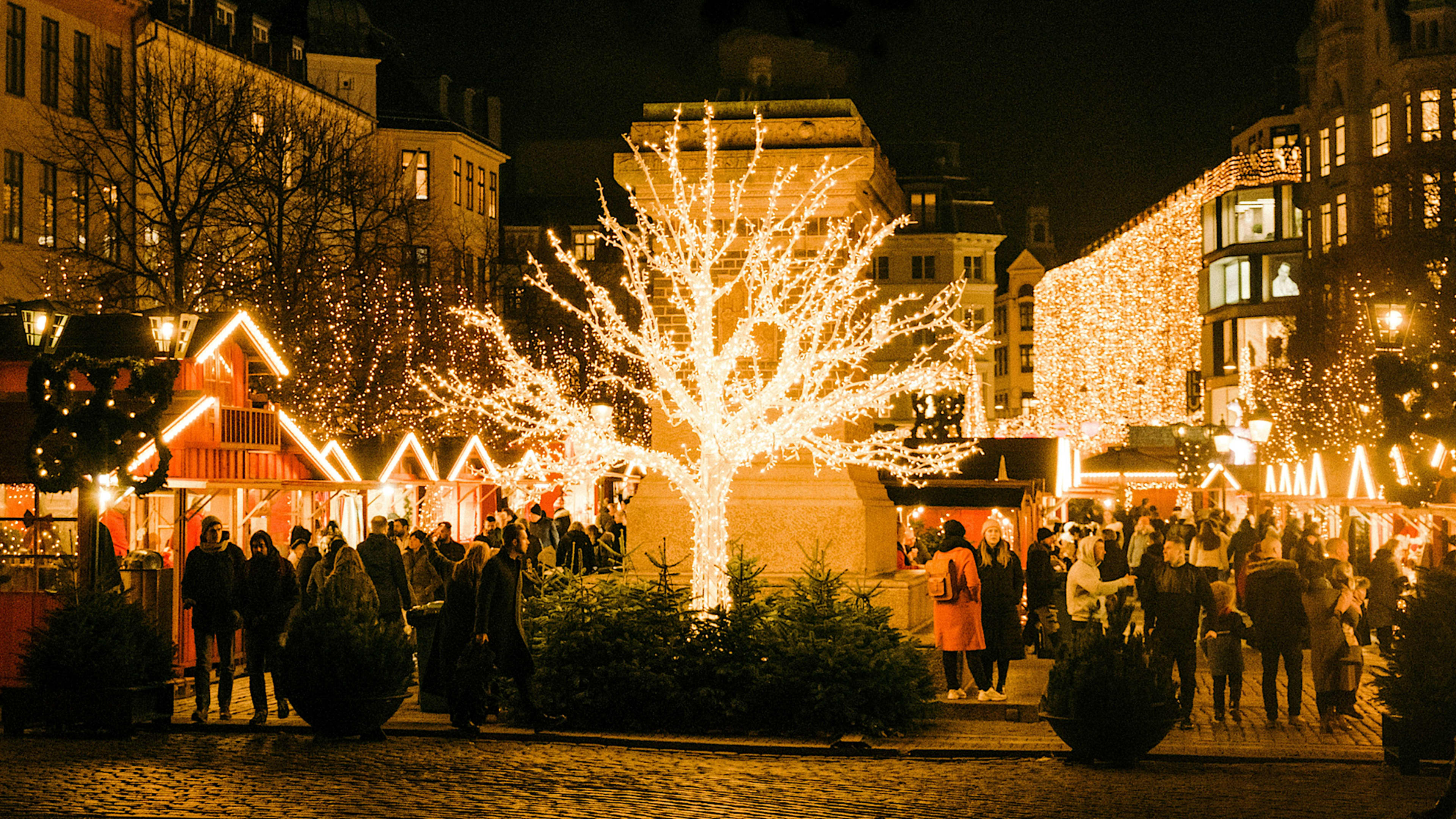 Cruise Europe's Christmas Markets in Style. Paired with Private Land Tours, Pre & Post.