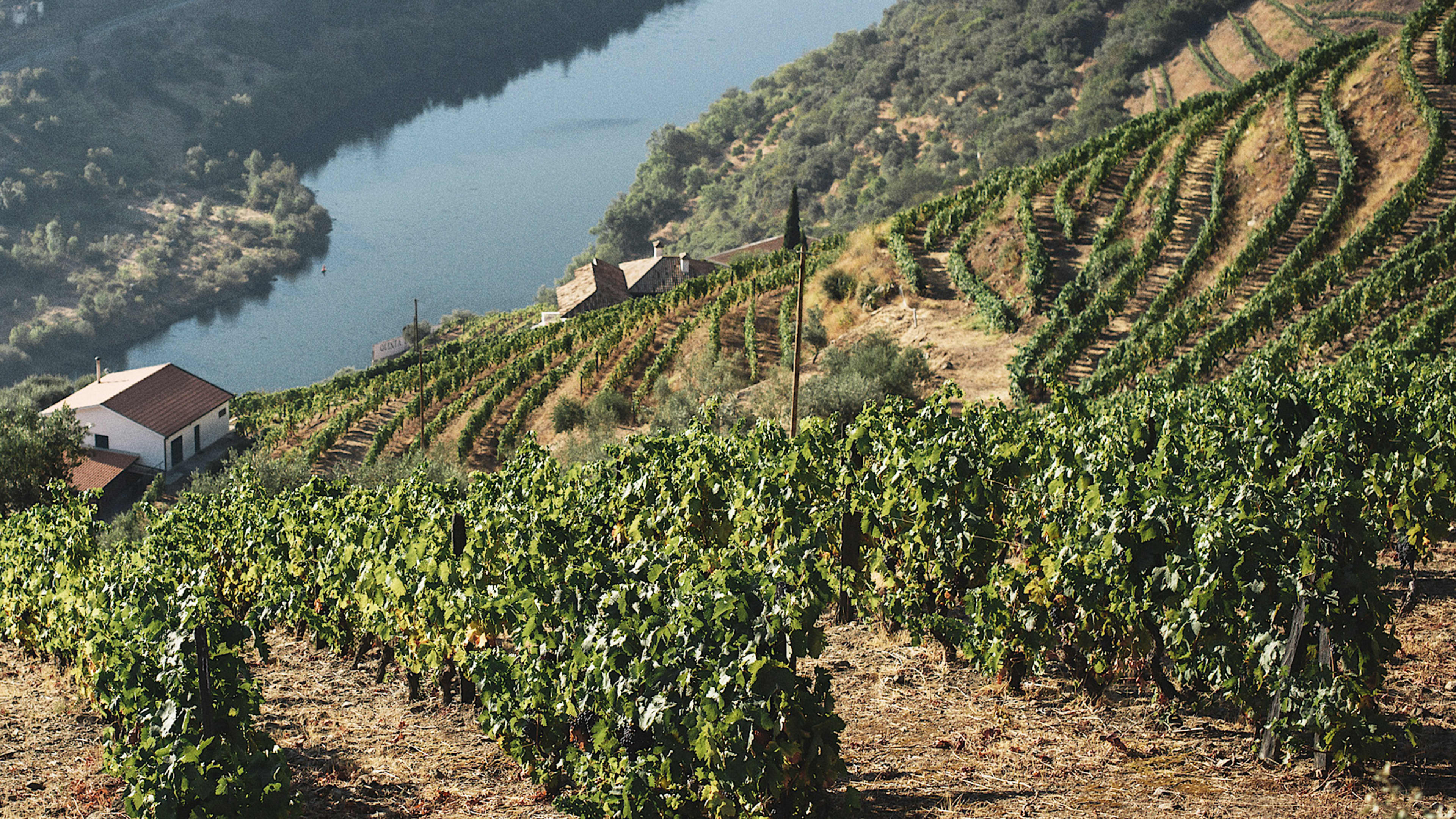 Cruise the Douro in Style. Paired with Private Land Tours, Pre & Post.