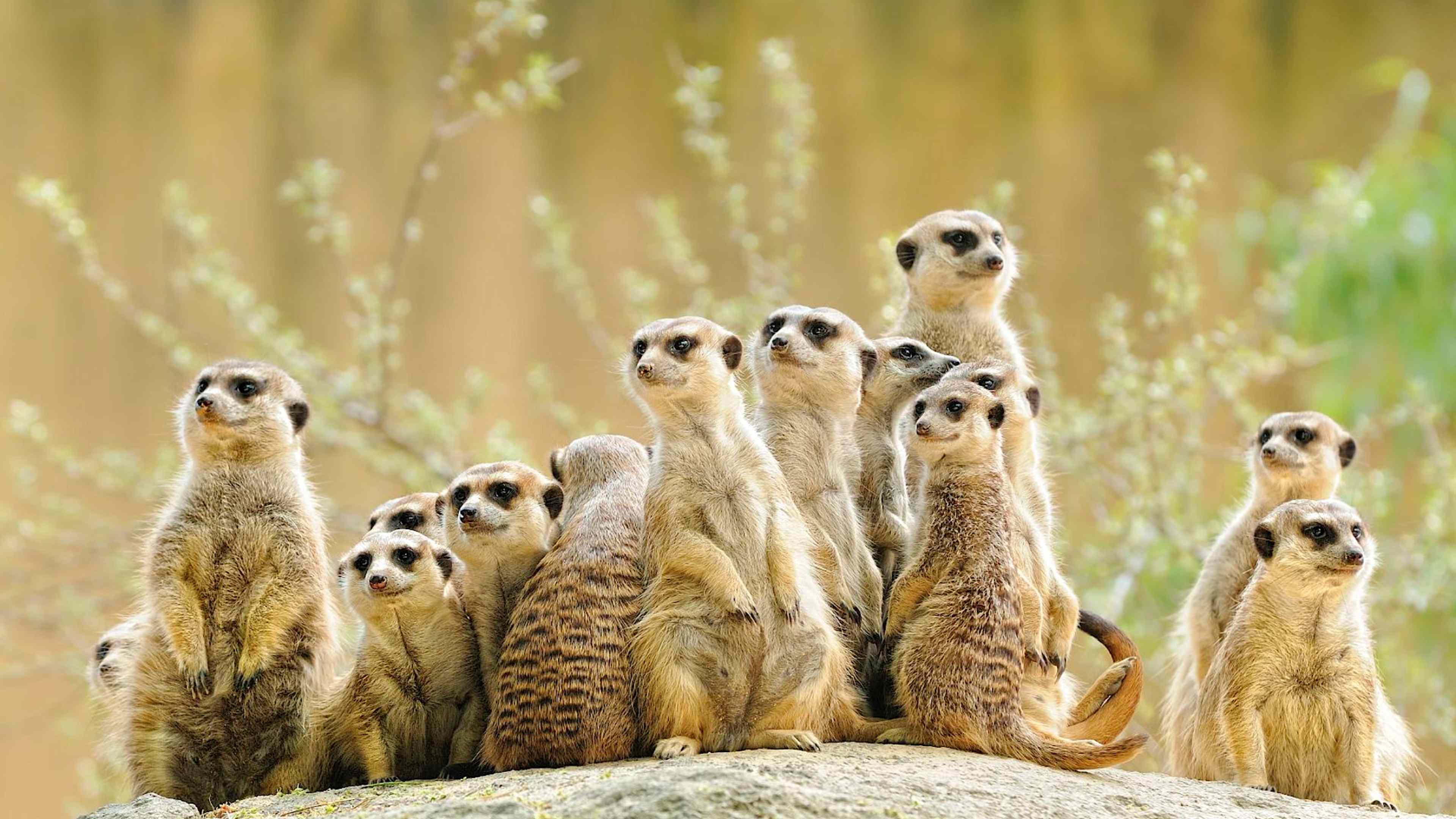Explore Botswana with private guides and a tailor-made itinerary.