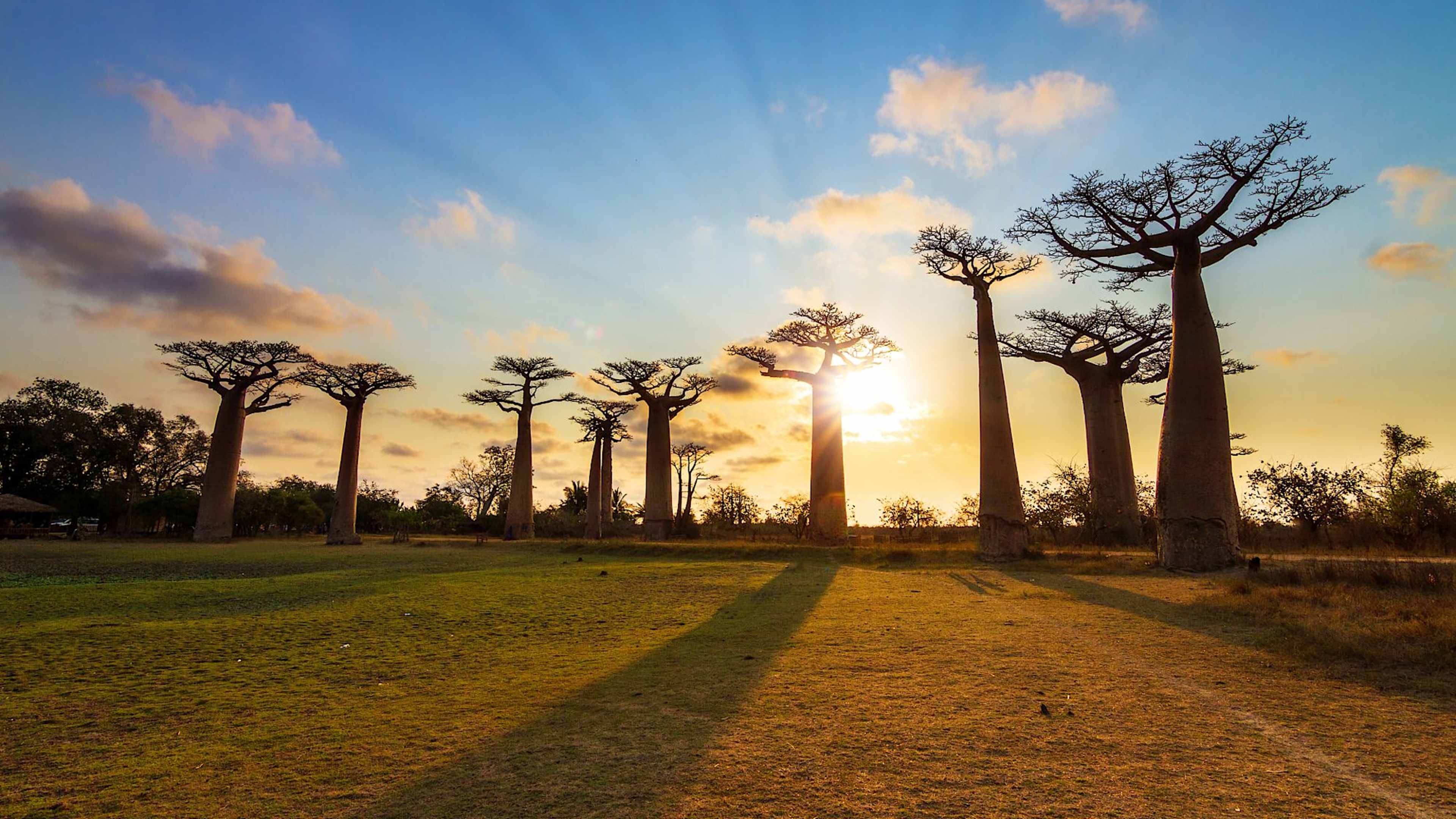 Explore Madagascar with private guides and a tailor-made itinerary.