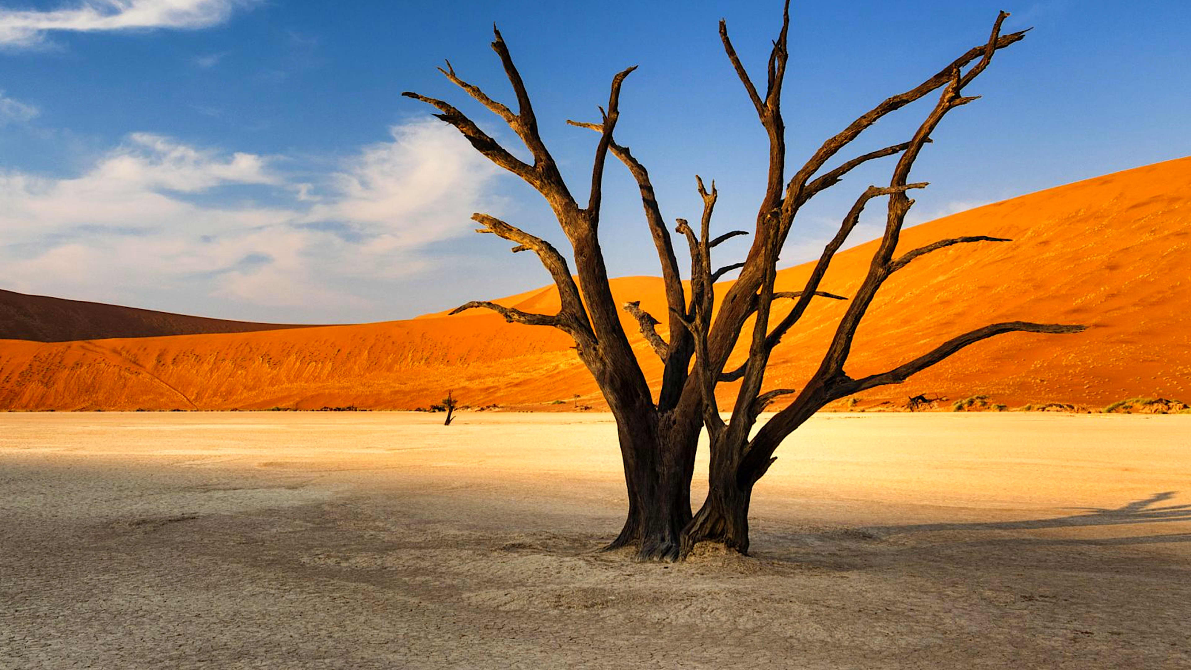 Explore Namibia with private guides and a tailor-made itinerary.