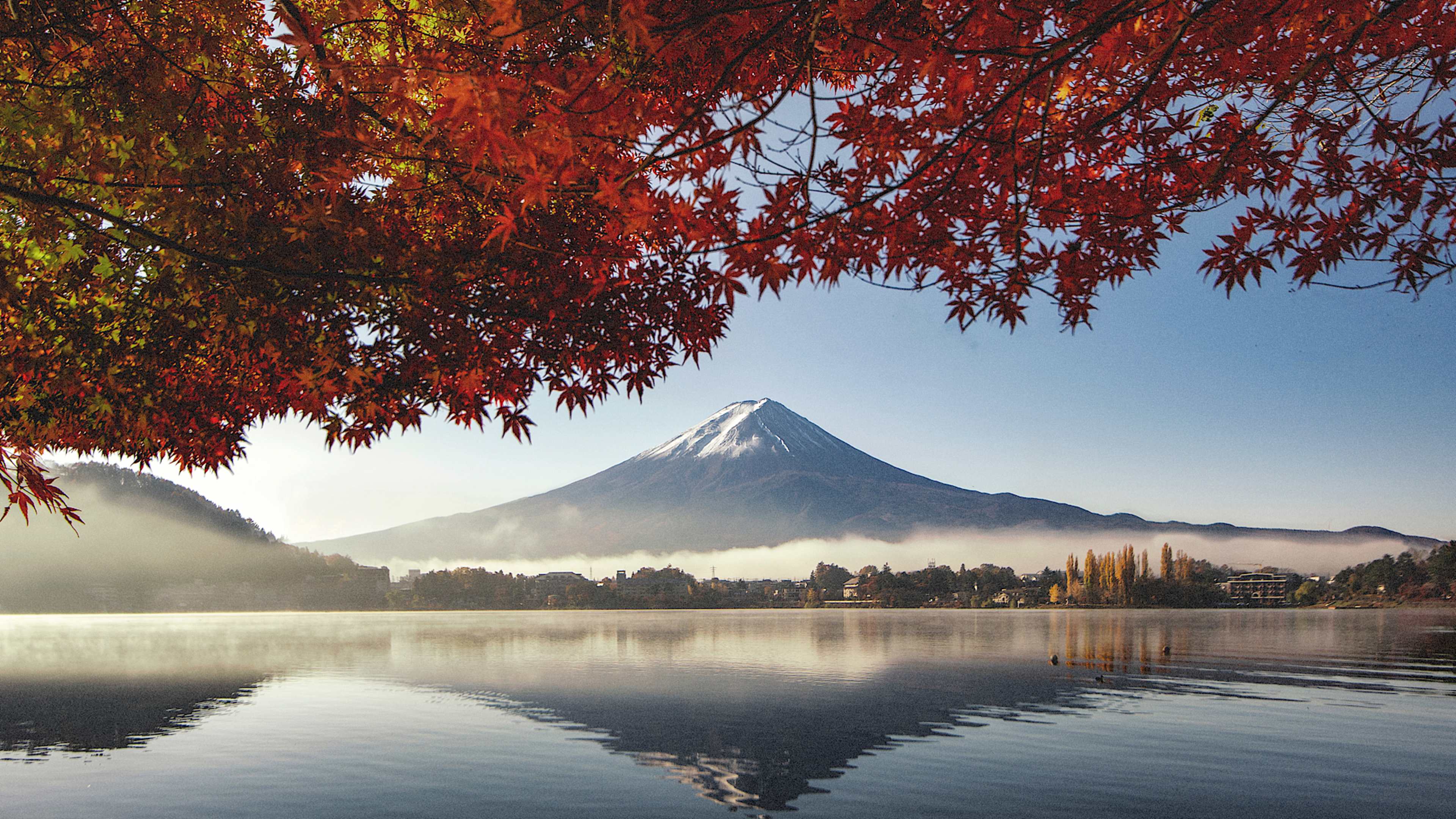Explore Japan with private guides and a tailor-made itinerary.