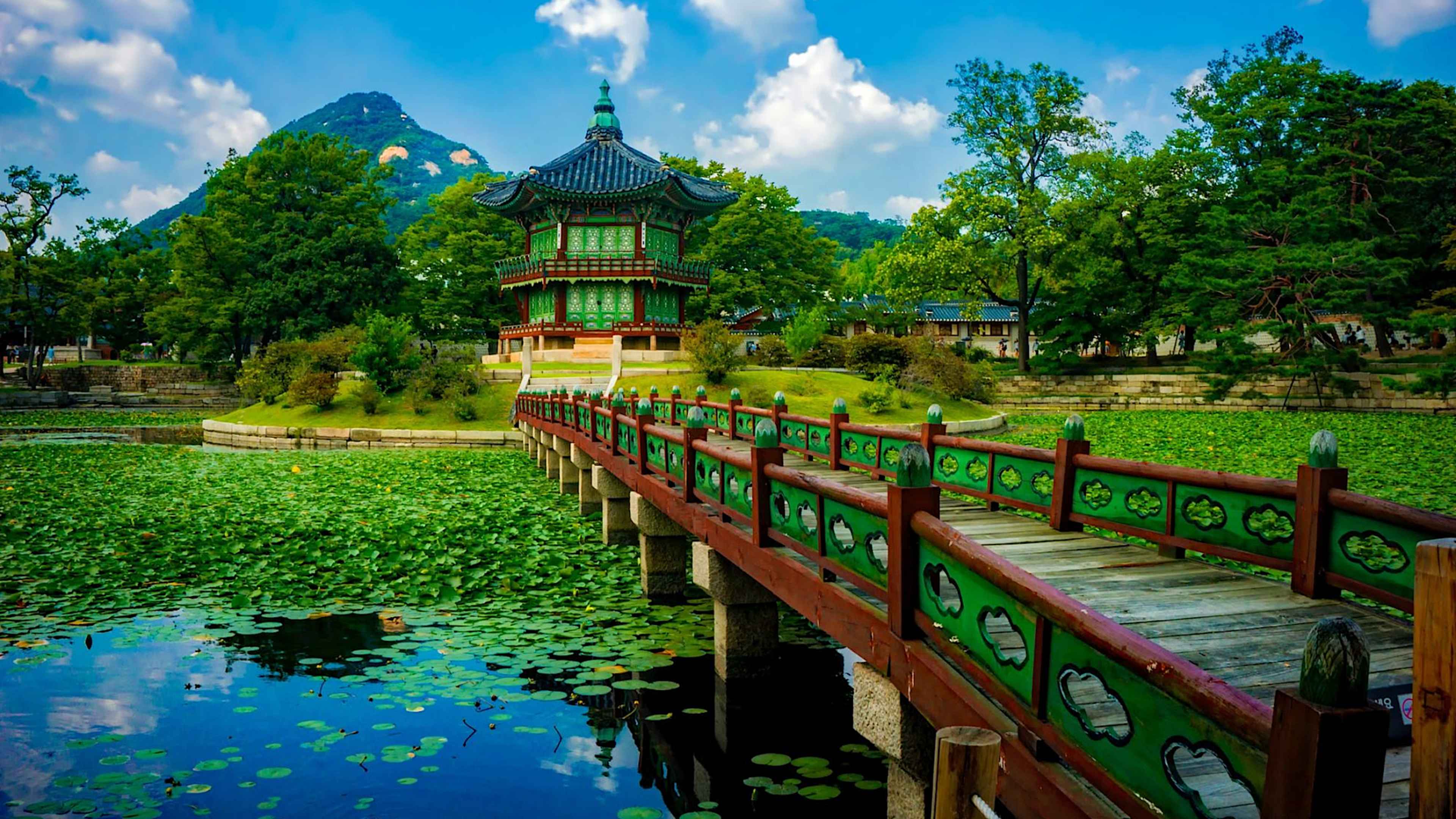 Explore South Korea with private guides and a tailor-made itinerary.