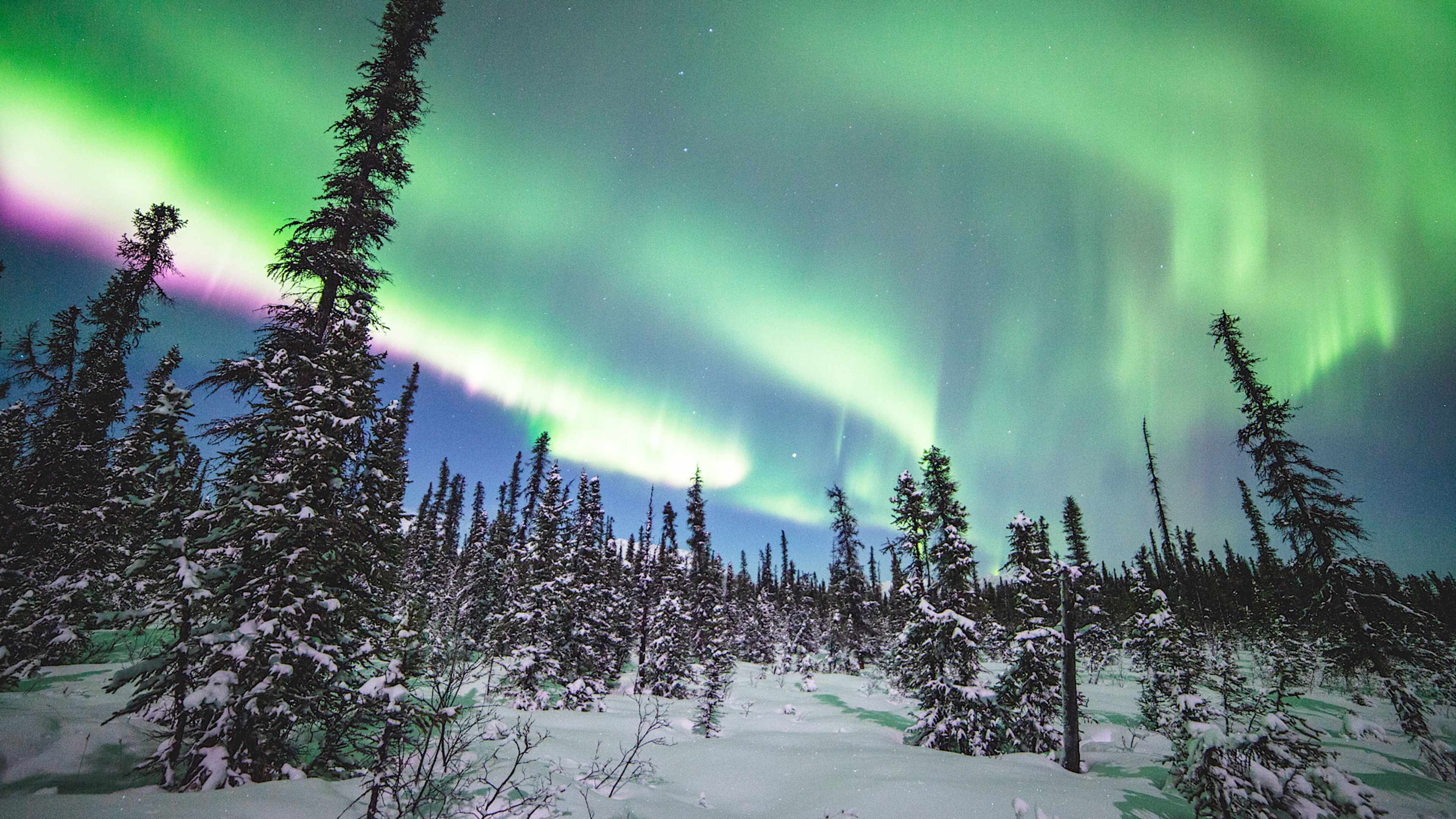 Explore Alaska with private guides and a tailor-made itinerary.