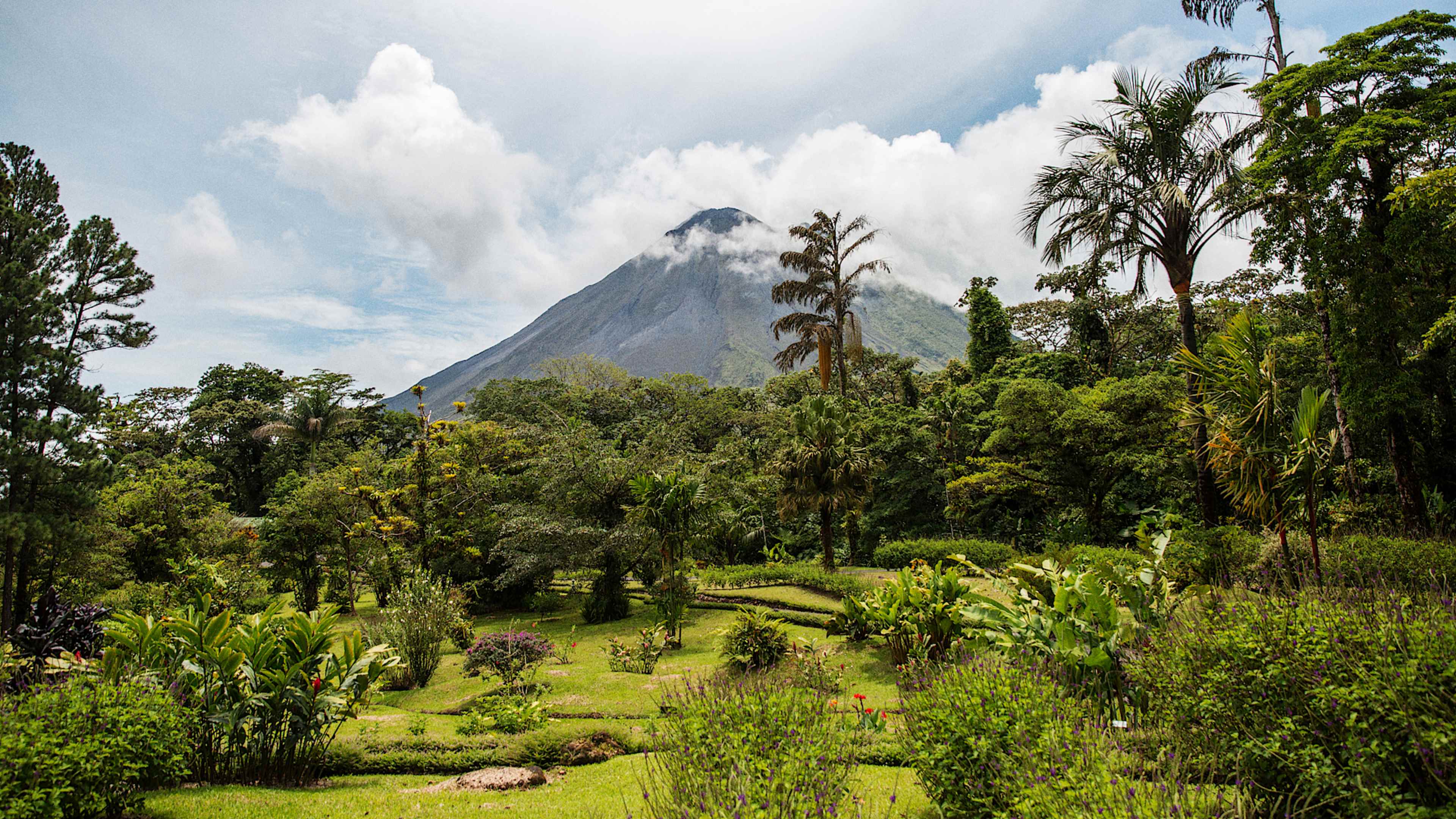 Explore Costa Rica with private guides and a tailor-made itinerary.