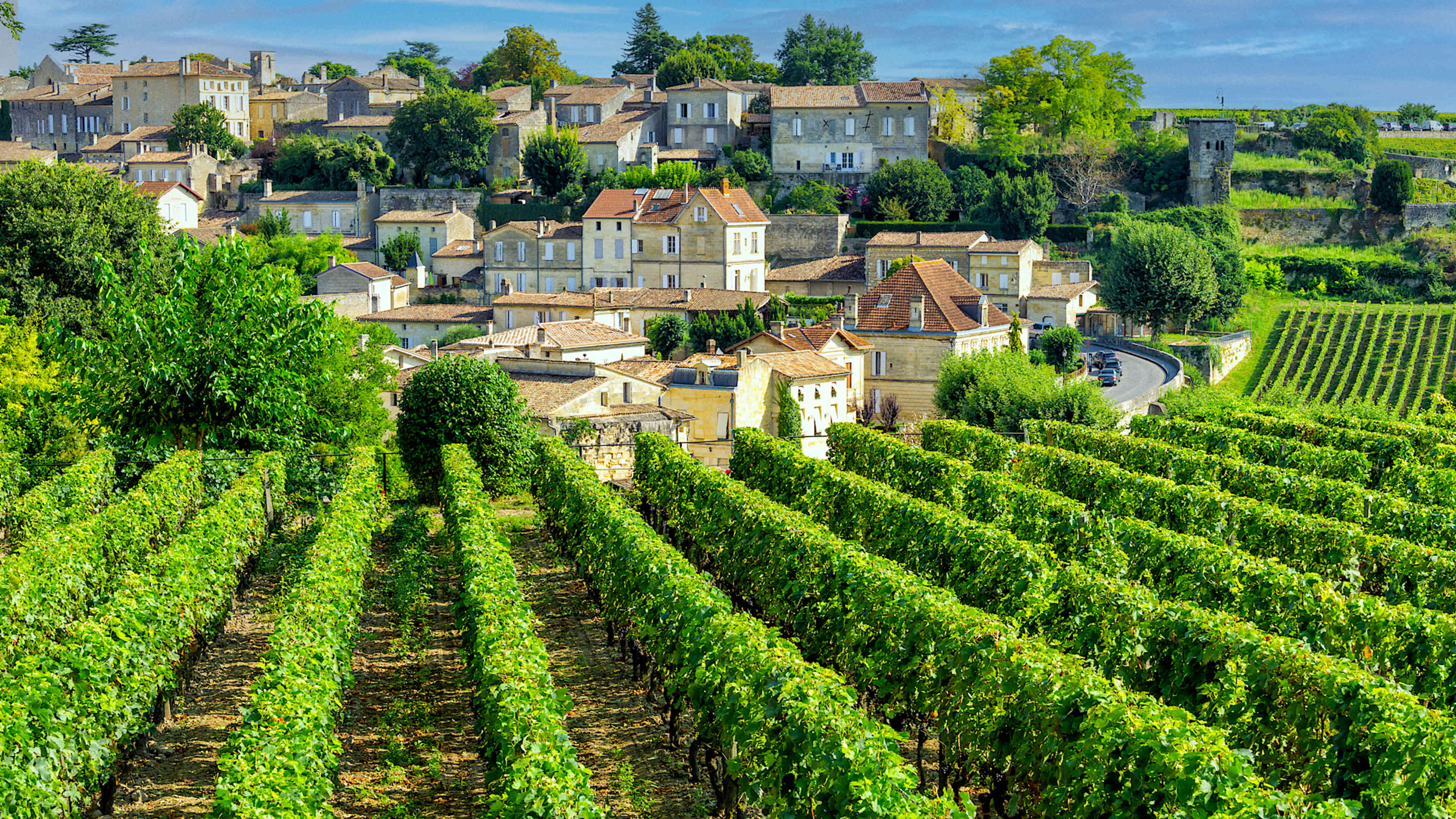Explore France with private guides and a tailor-made itinerary.