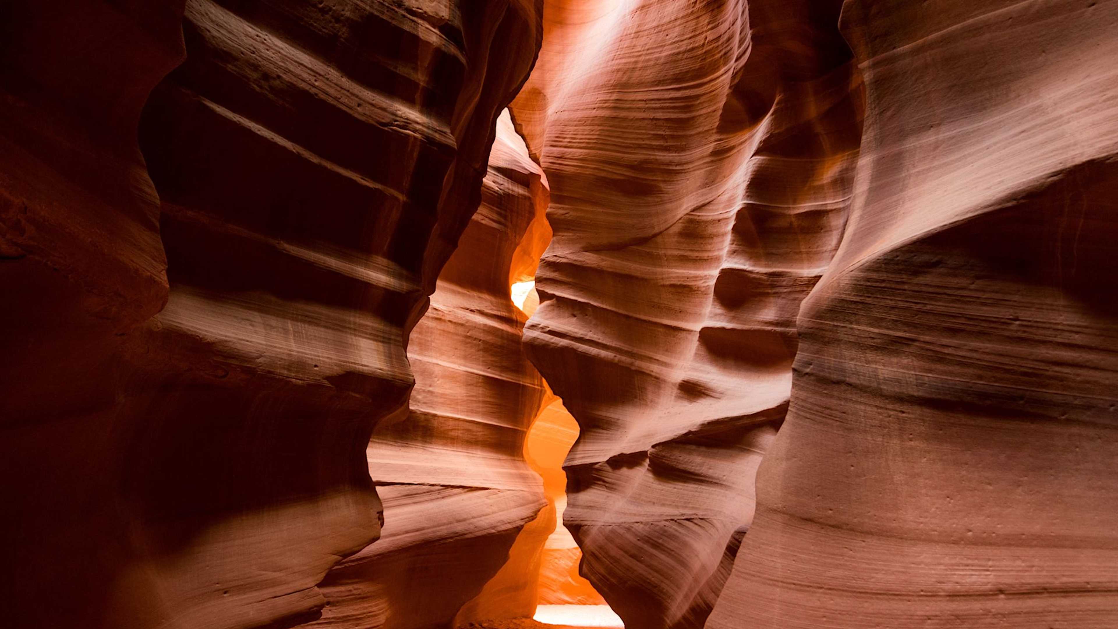 Explore National Parks with private guides and a tailor-made itinerary.