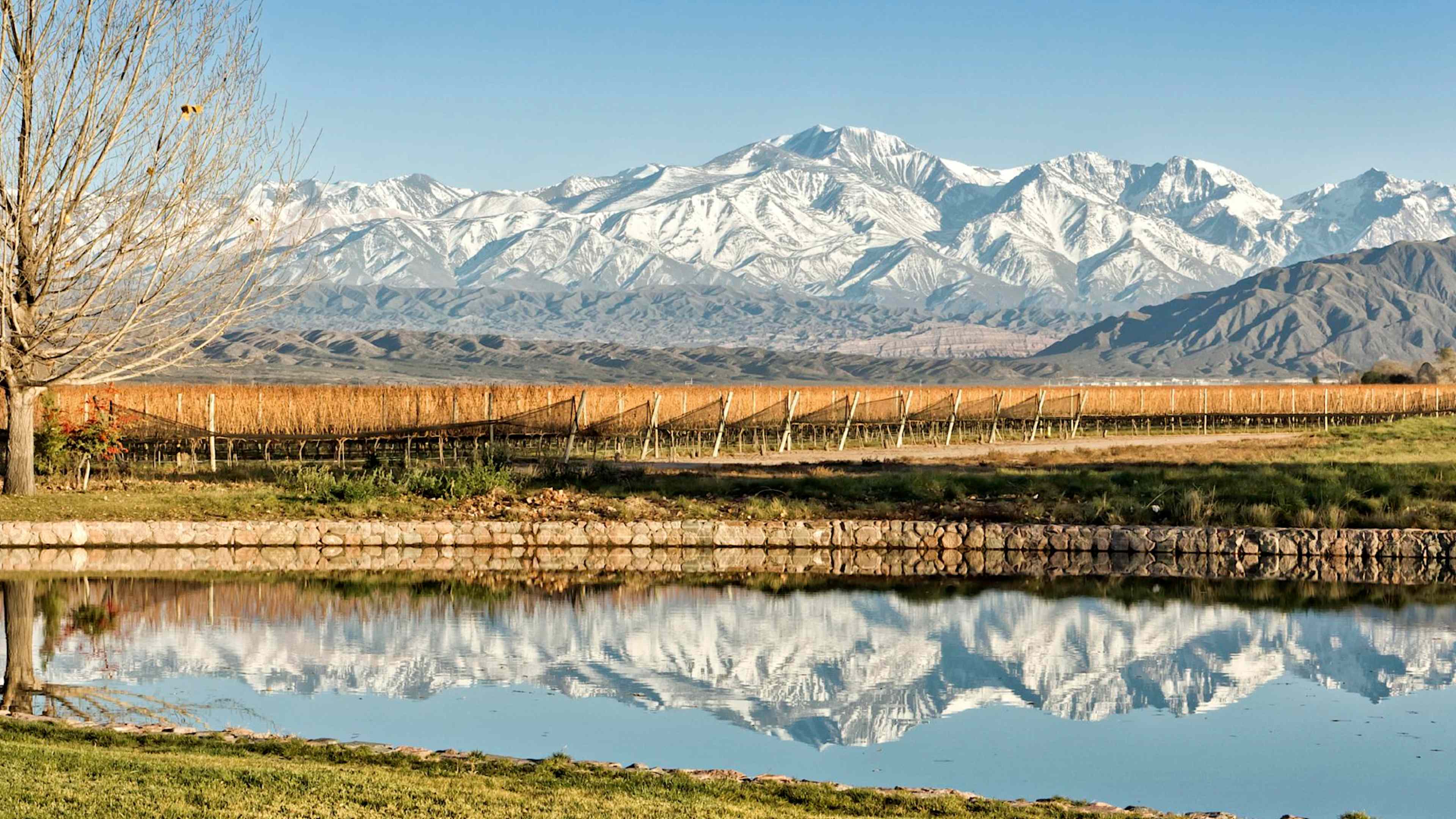 Explore Argentina with private guides and a tailor-made itinerary.