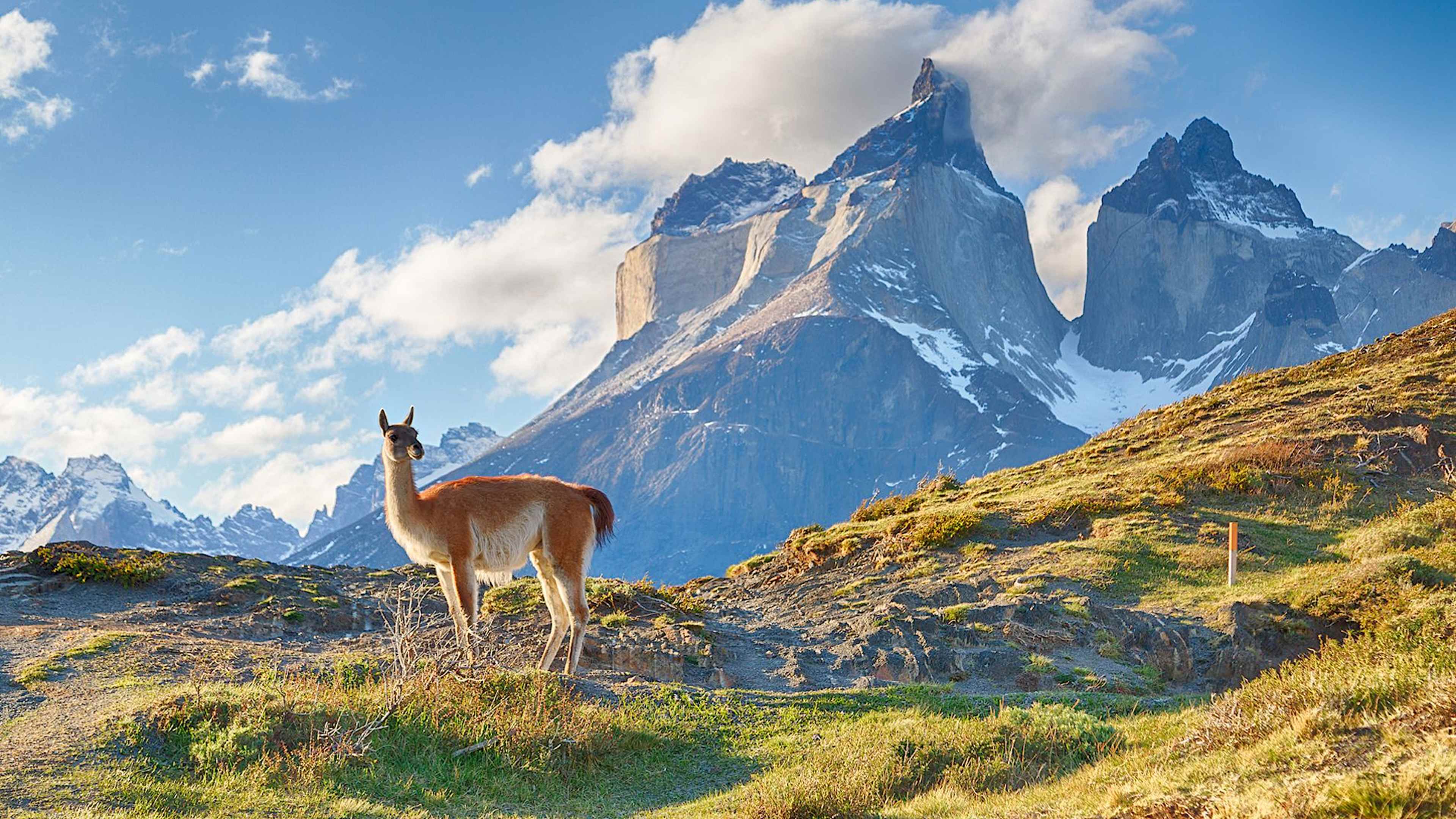 Explore Chile with private guides and a tailor-made itinerary.