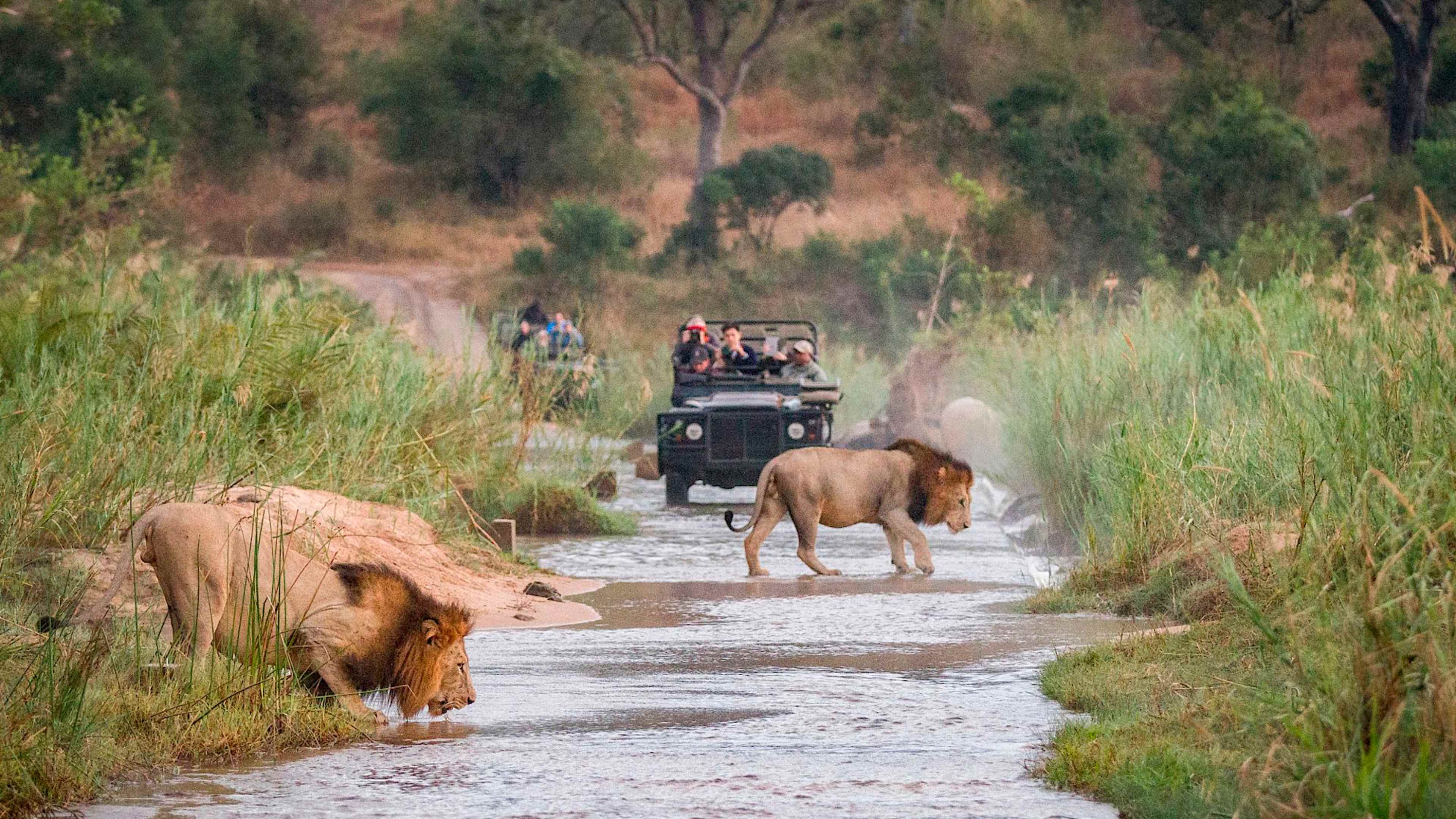 Explore South Africa with private guides and a tailor-made itinerary.