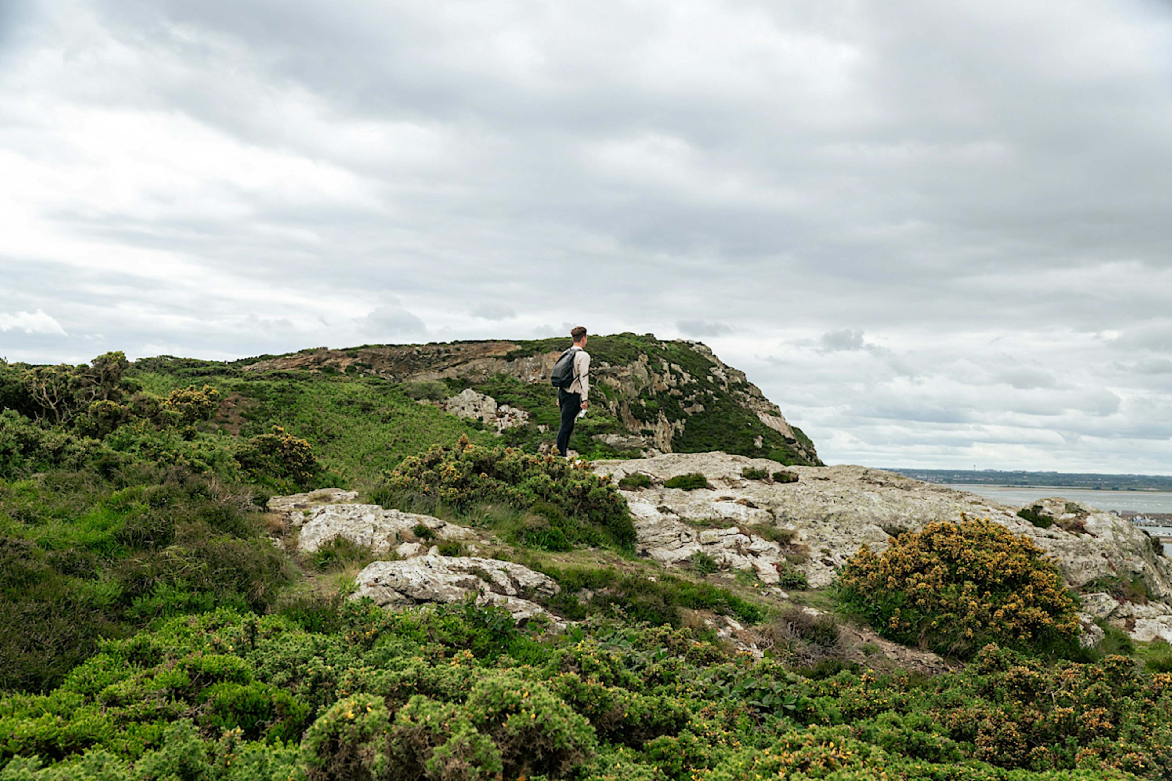 Ireland's Rugged Beauty and Biodiversity