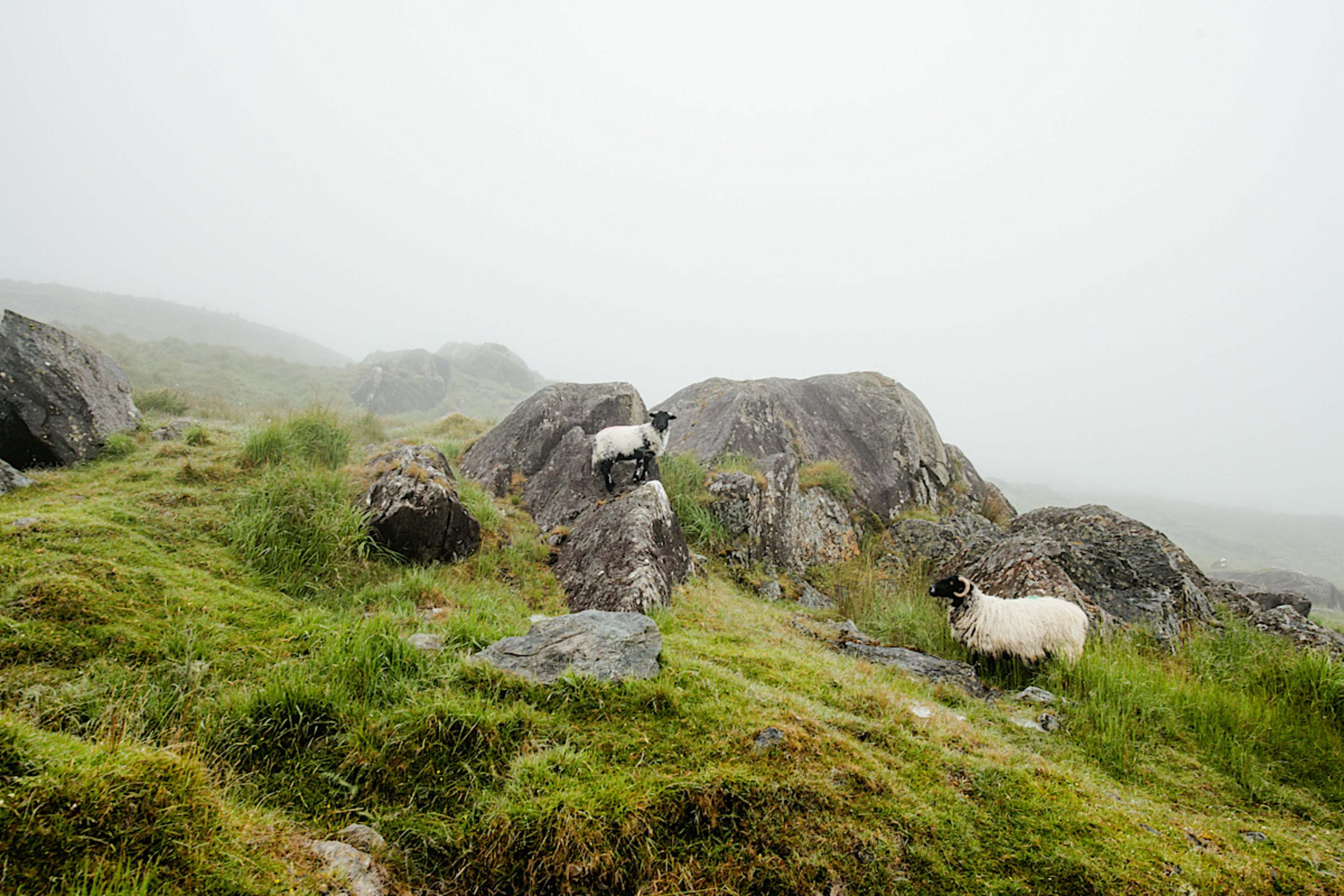 Ireland's Wild Beauty on the Atlantic's Edge