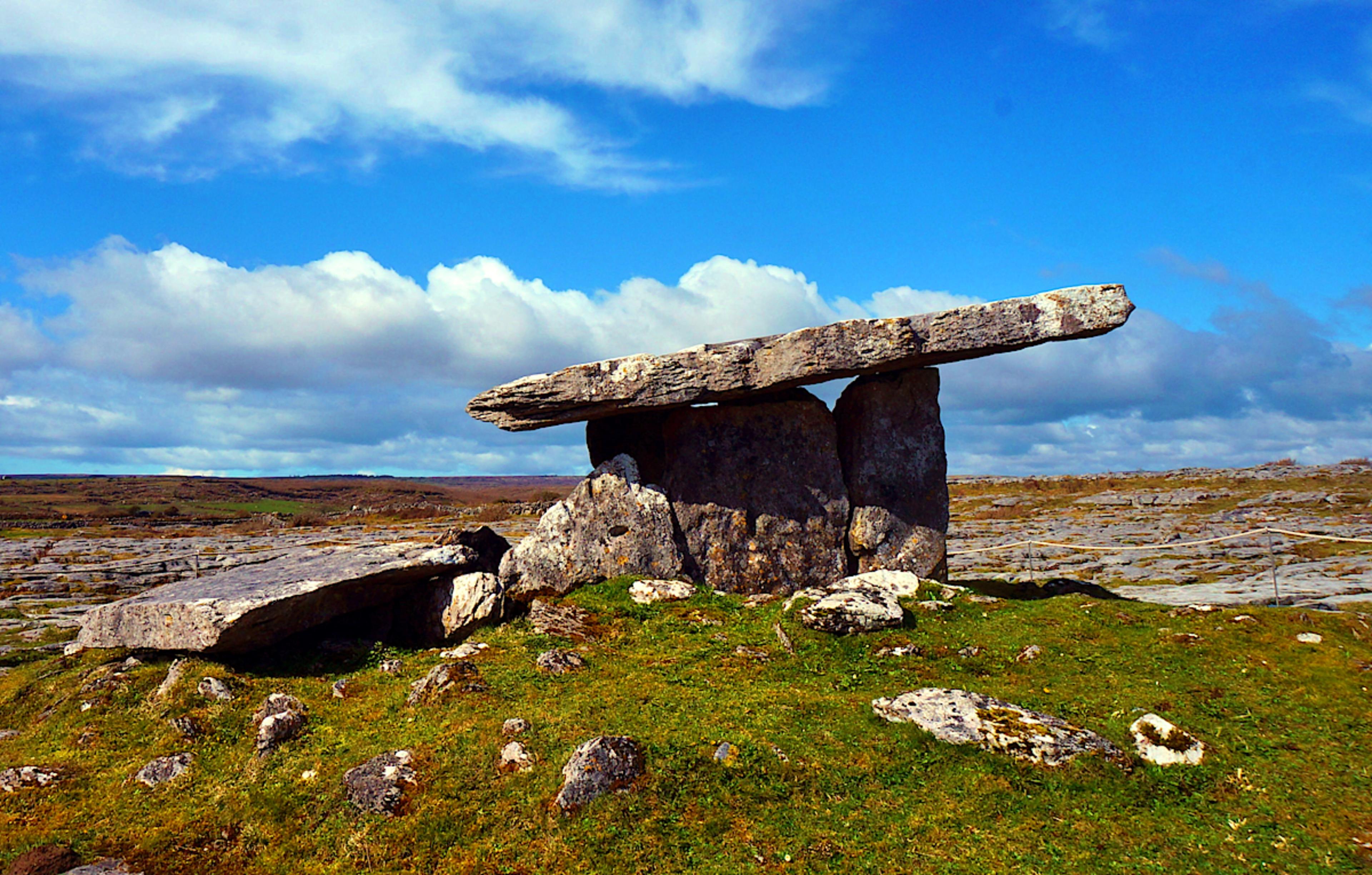 Ireland's Rugged Beauty and Biodiversity