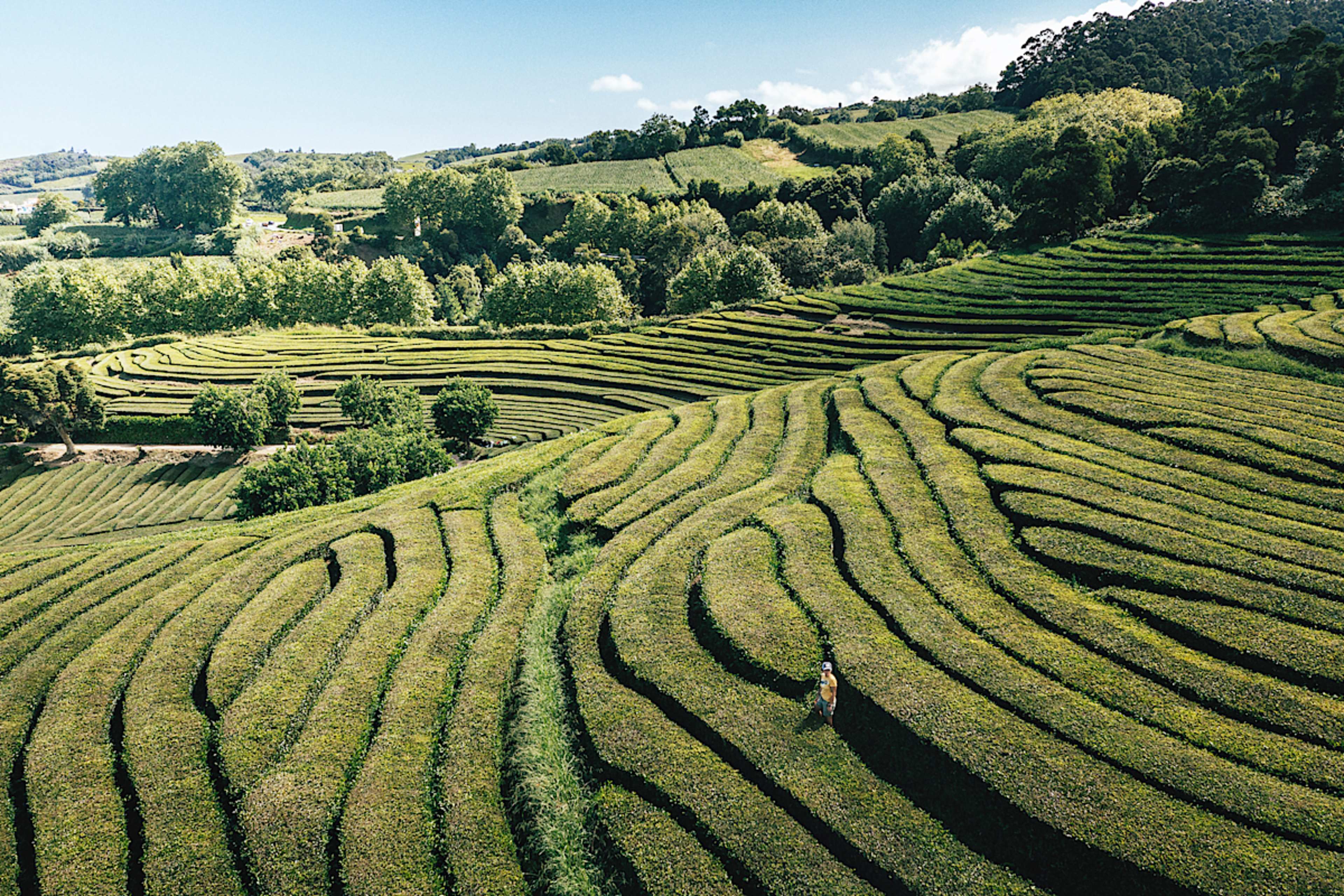 The Azores: Portugal's Atlantic Gems