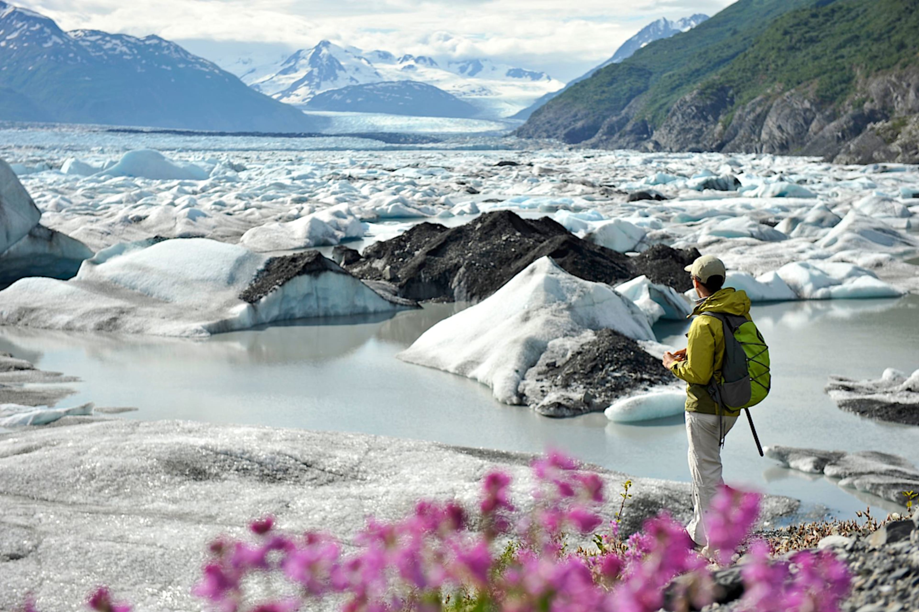 © State of Alaska/Matt Hage The Ultimate Alaska Cruise & Private Tour Experience