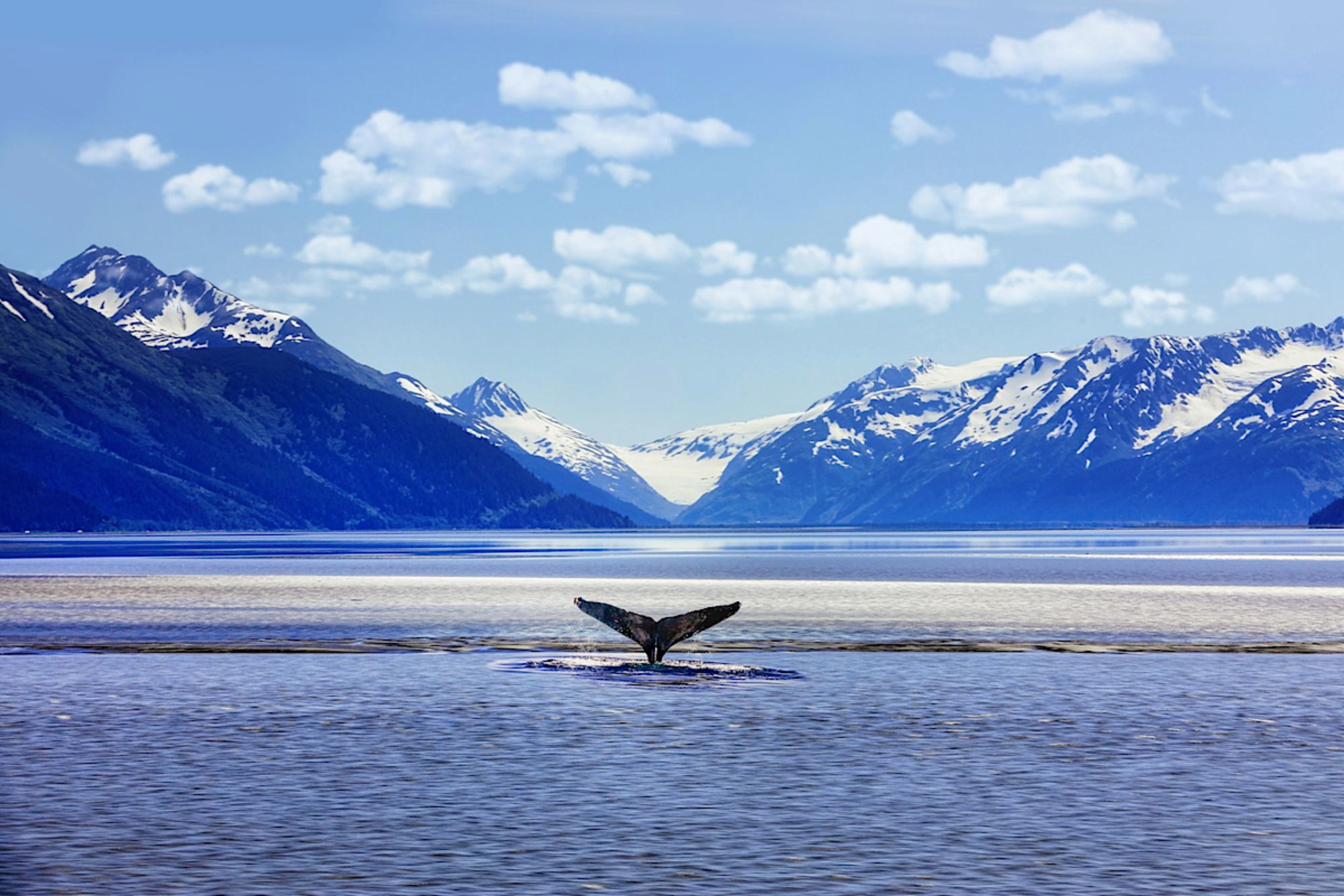 The Ultimate Alaska Cruise & Private Tour Experience