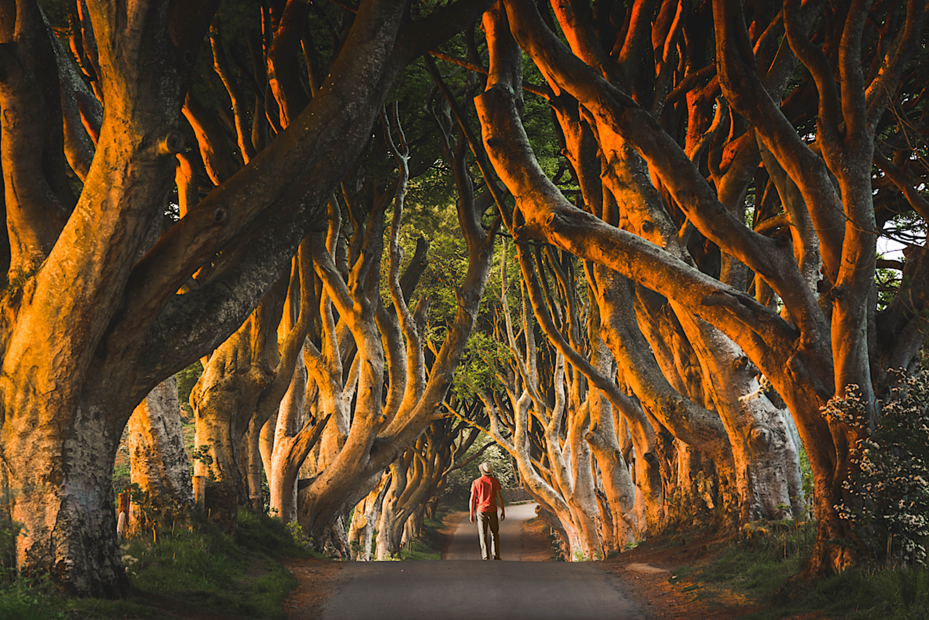 A Private Journey Through Myth, Stone, and Sea