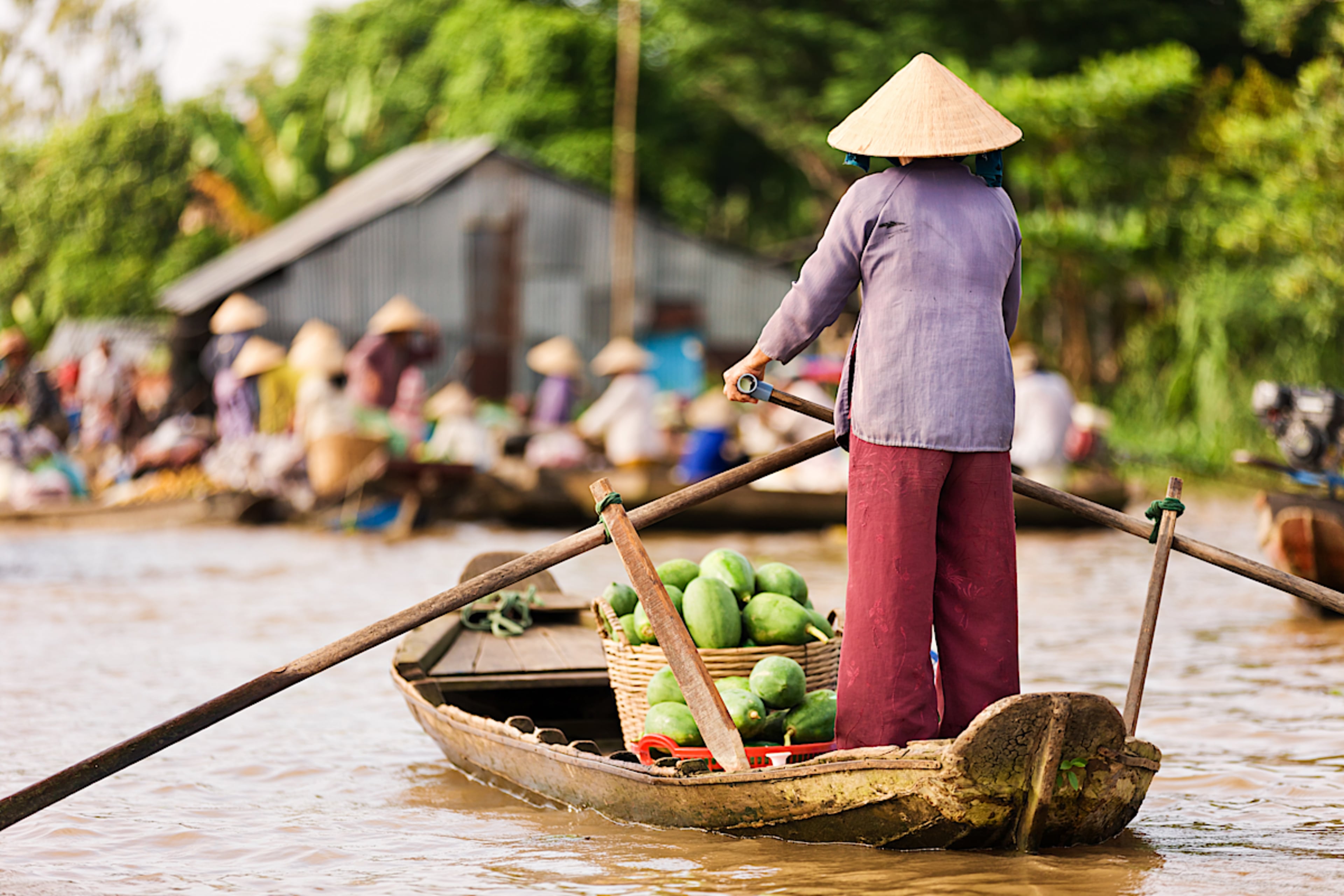 hadynyah The Ultimate Mekong River Cruise & Private Tour Experience