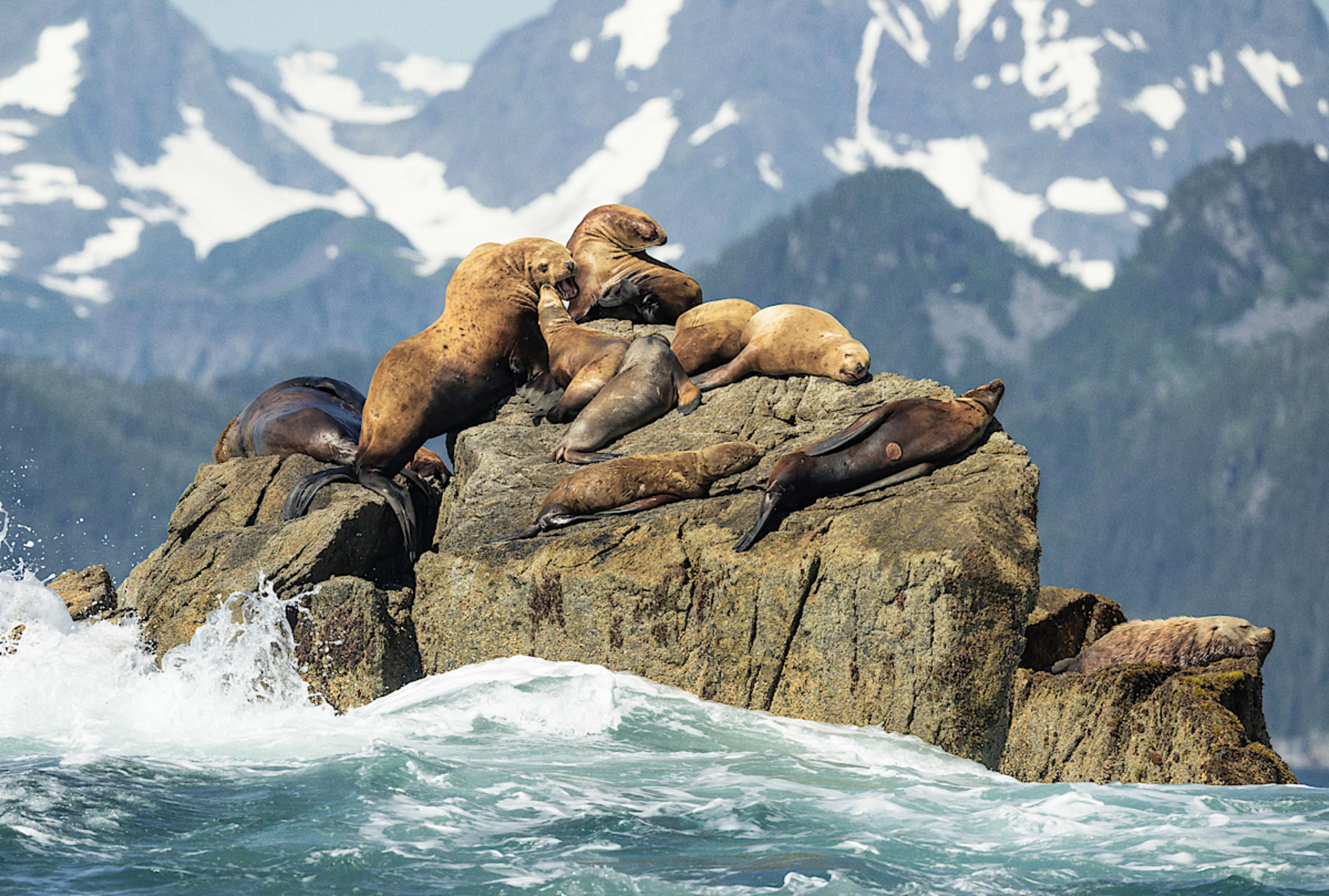 The Ultimate Alaska Cruise & Private Tour Experience